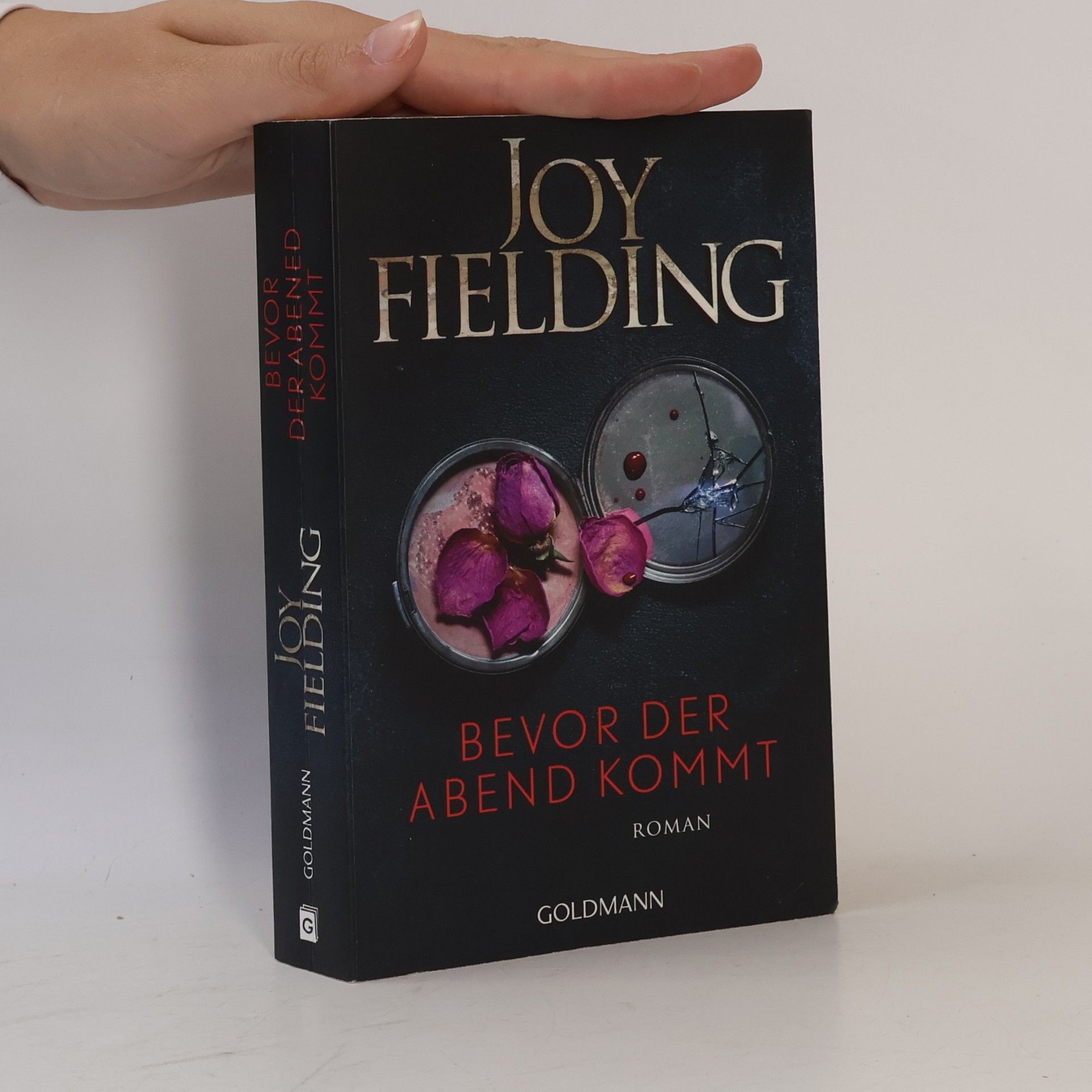 Bevor der abend kommt