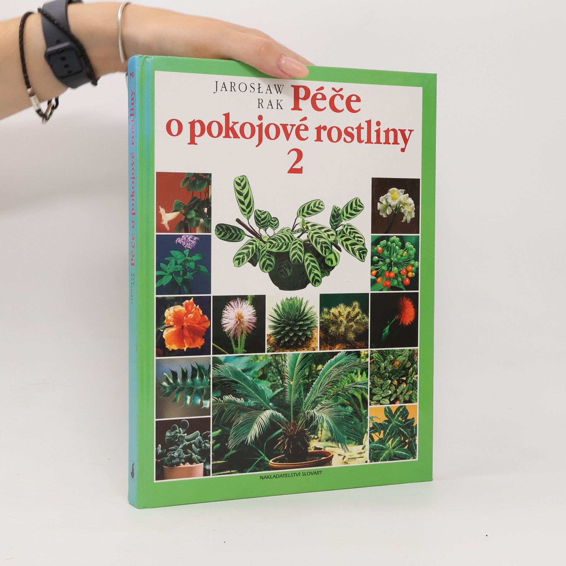 Jarosław Rak Péče o pokojové rostliny 2
