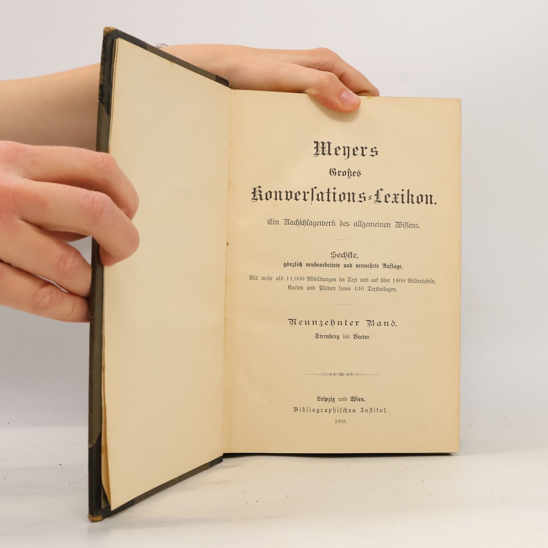 kolektiv Meyers Großes Konversations-Lexikon 19