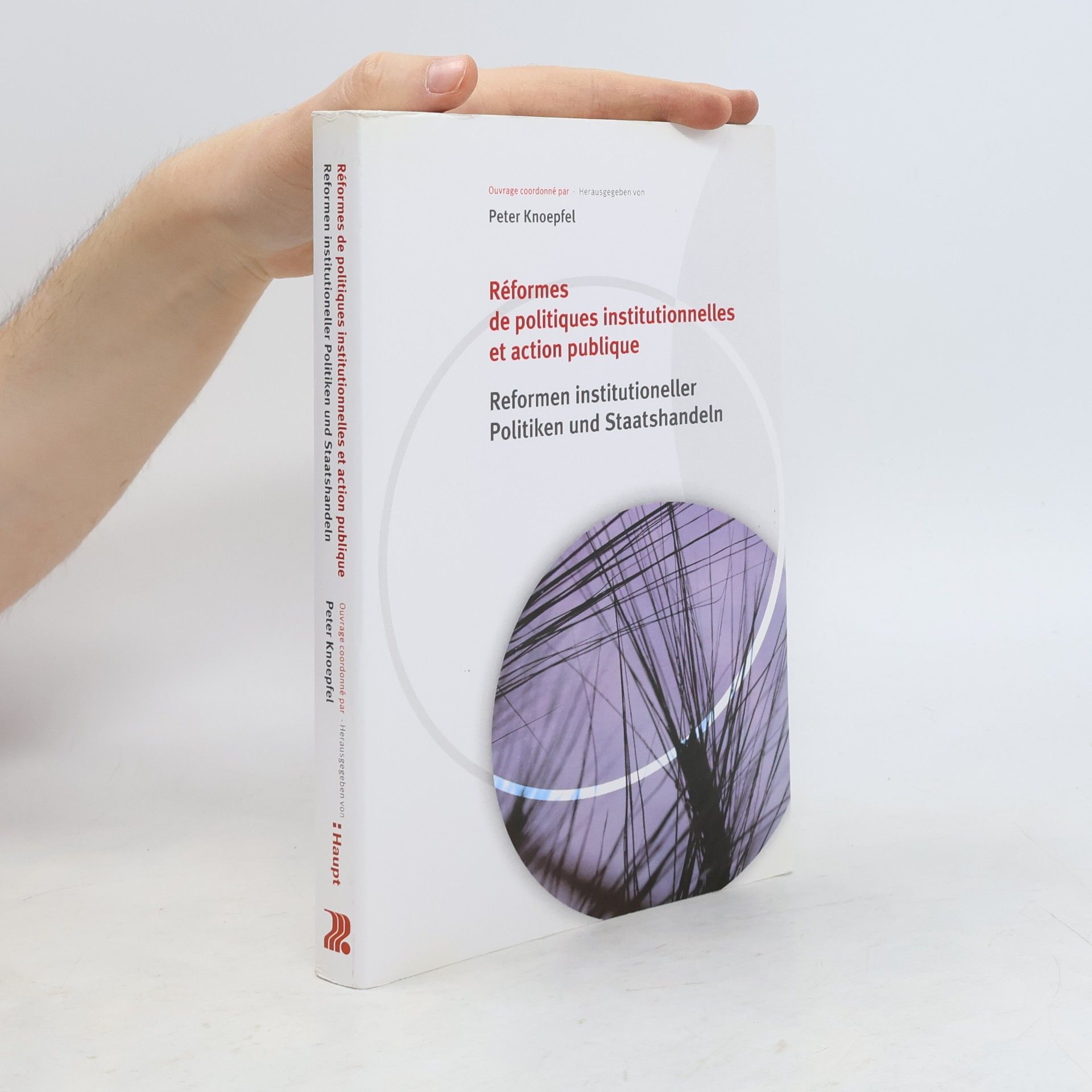 Réformes de politiques institutionnelles et action publique