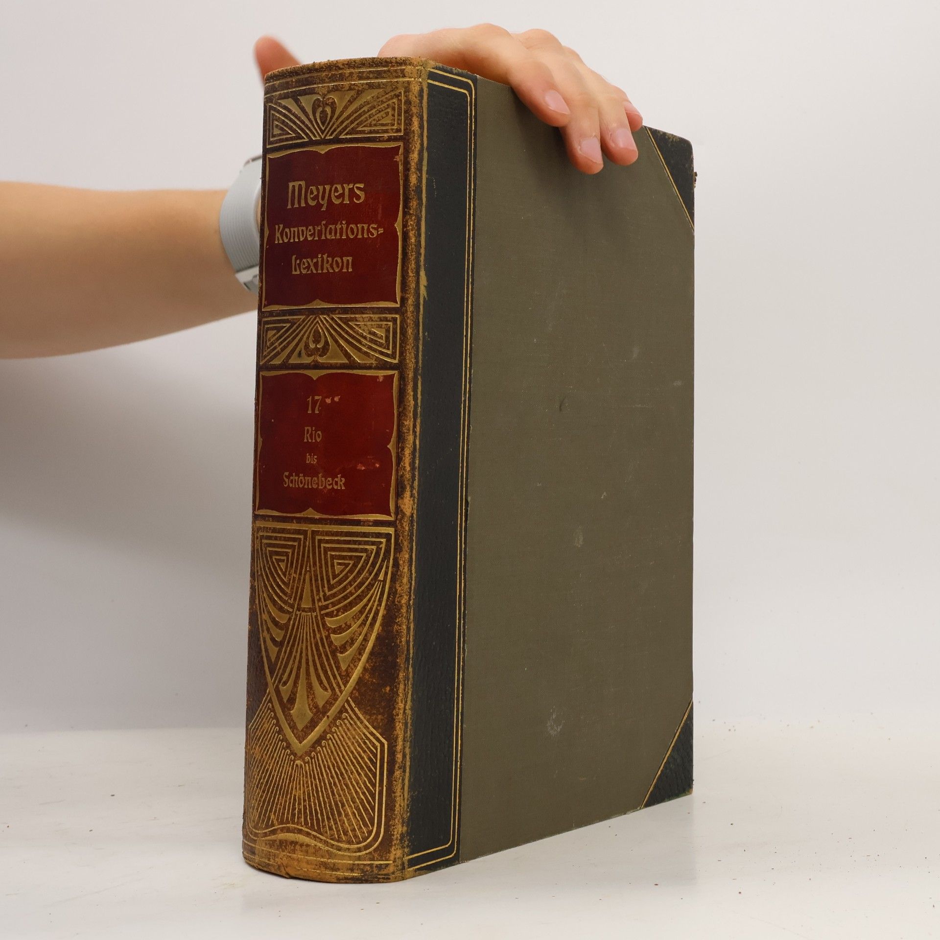Various authors Meyers Großes Konversations Lexikon 17