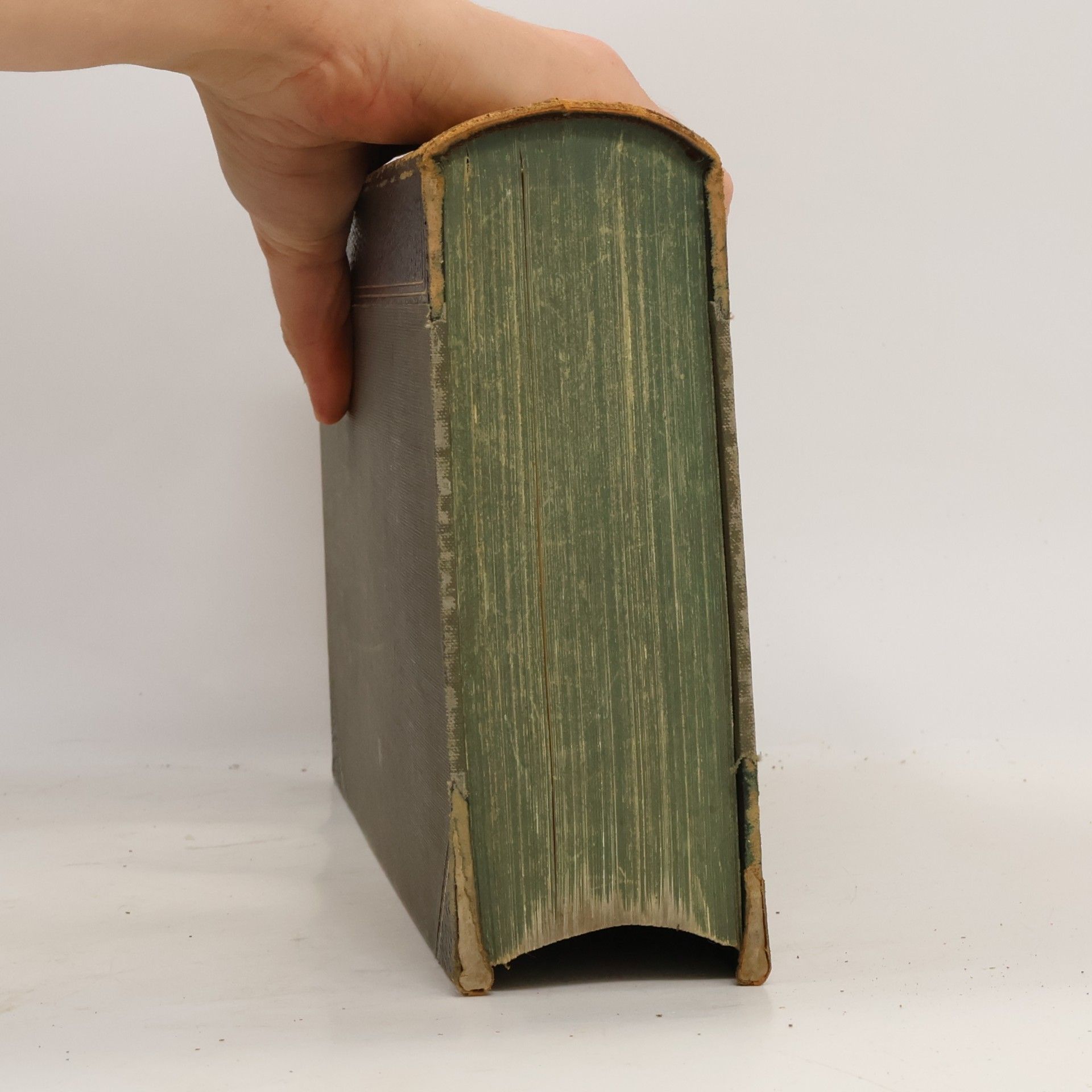 Various authors Meyers Großes Konversations Lexikon 17