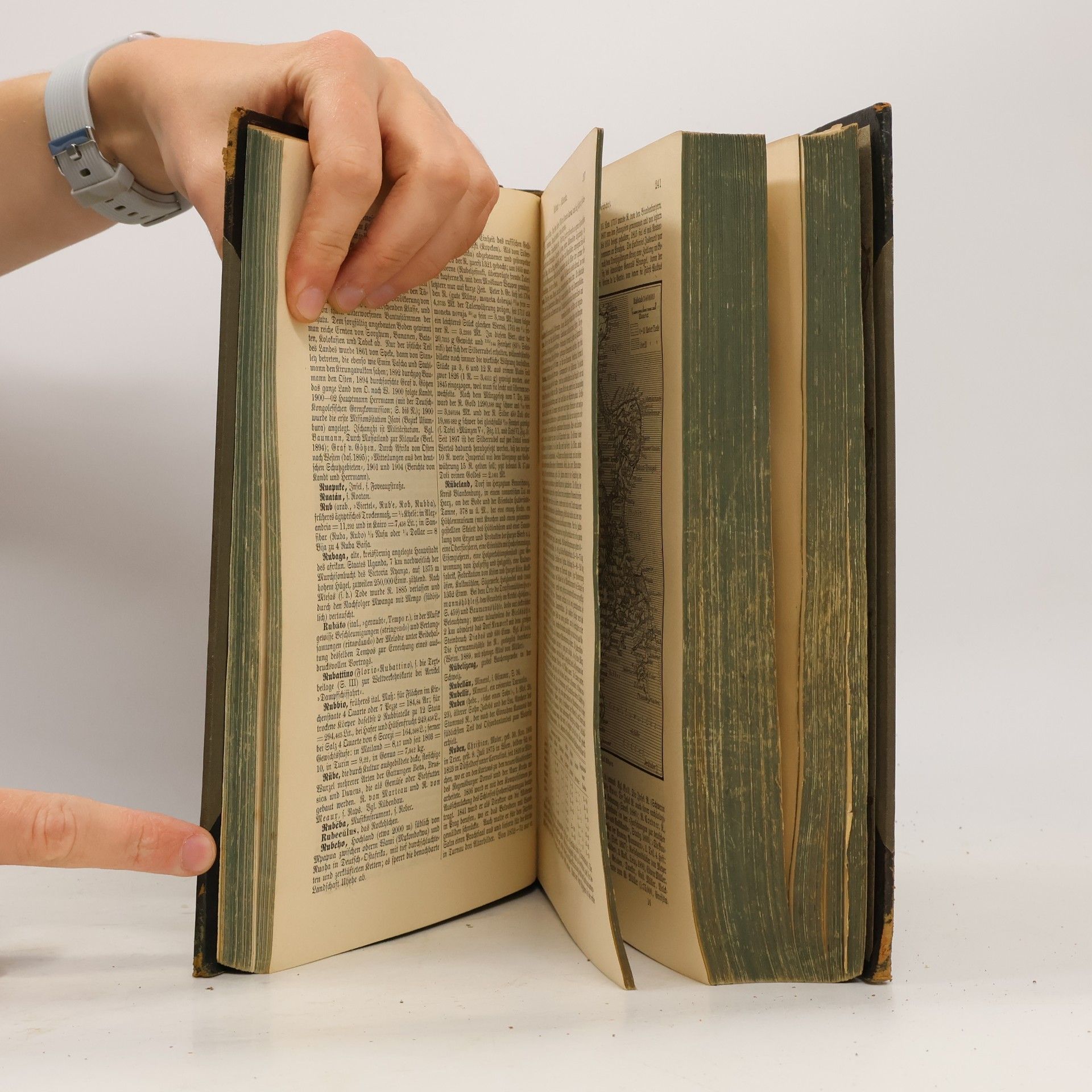 Various authors Meyers Großes Konversations Lexikon 17