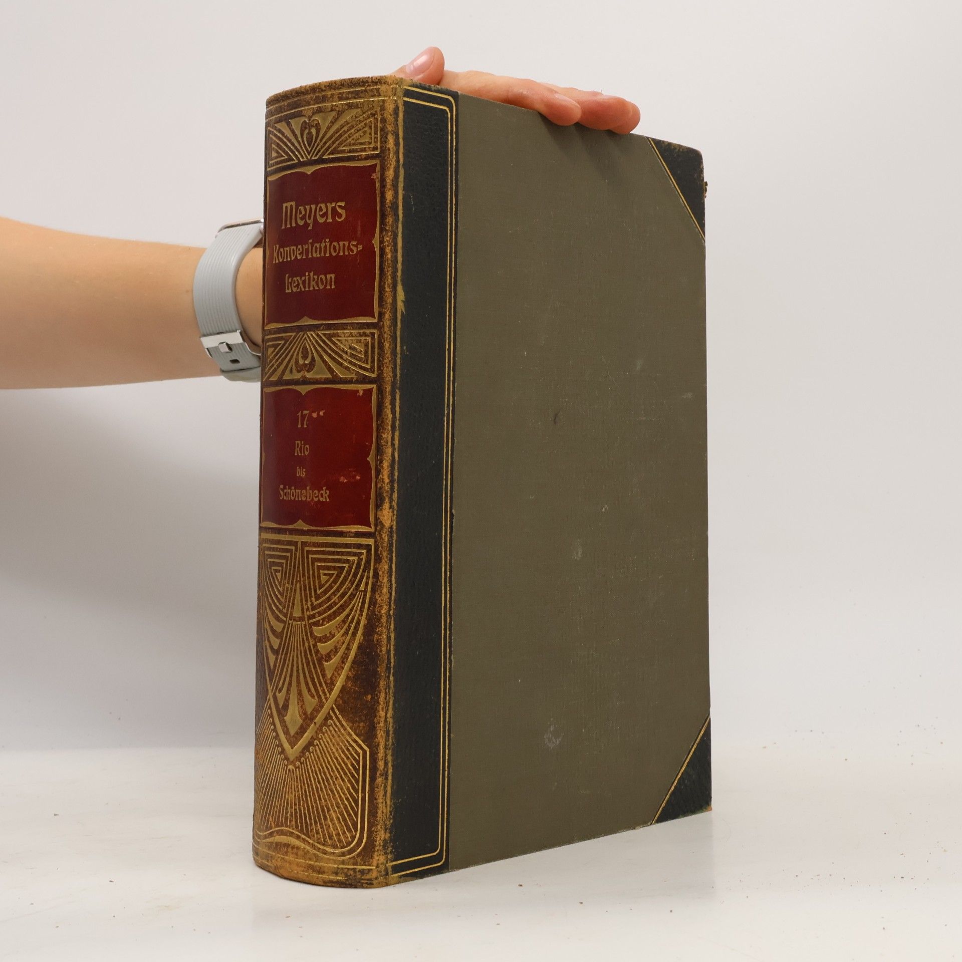 Various authors Meyers Großes Konversations Lexikon 17