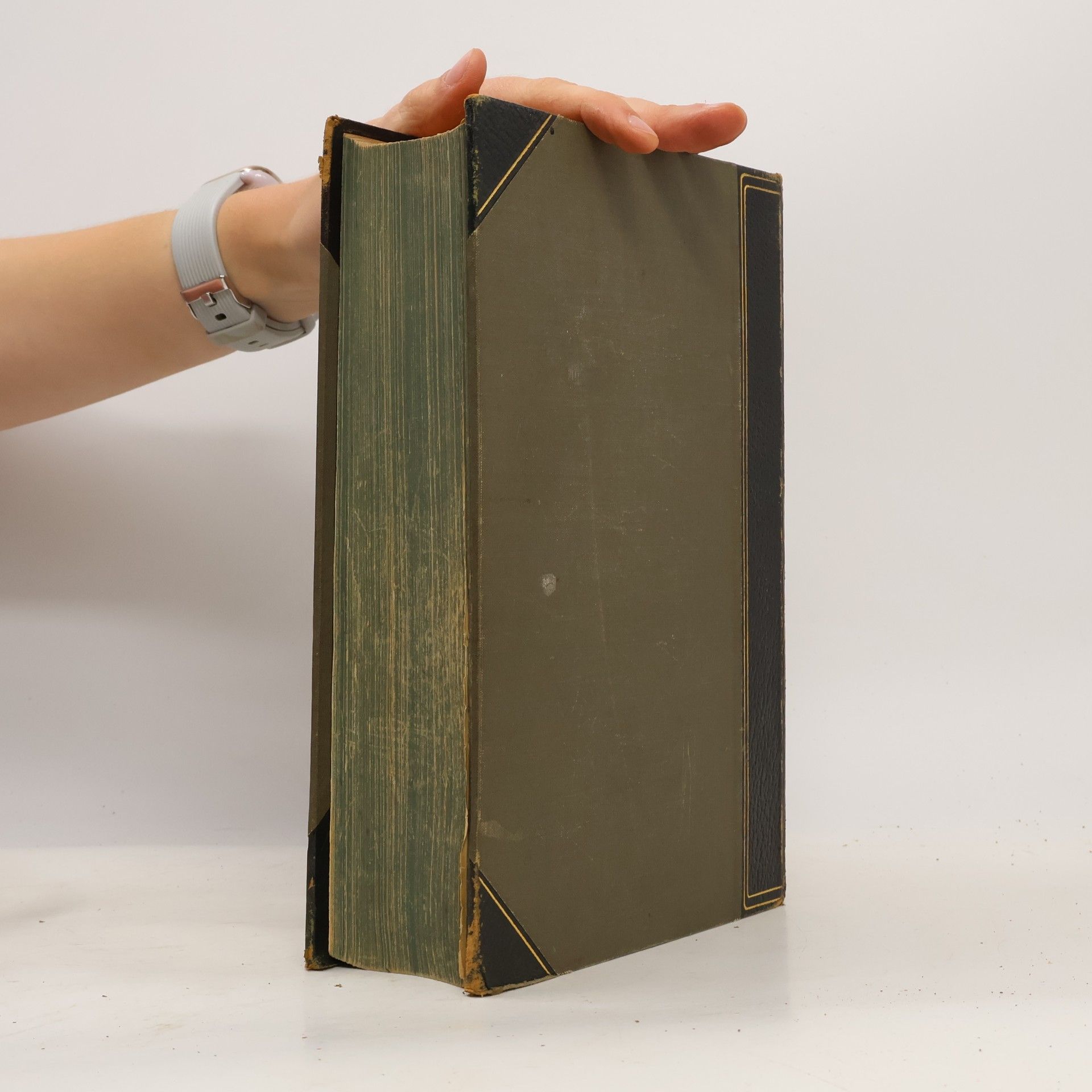 Various authors Meyers Großes Konversations Lexikon 17