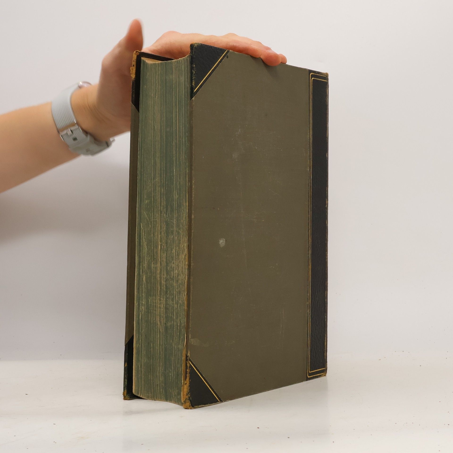 Various authors Meyers Großes Konversations Lexikon 17