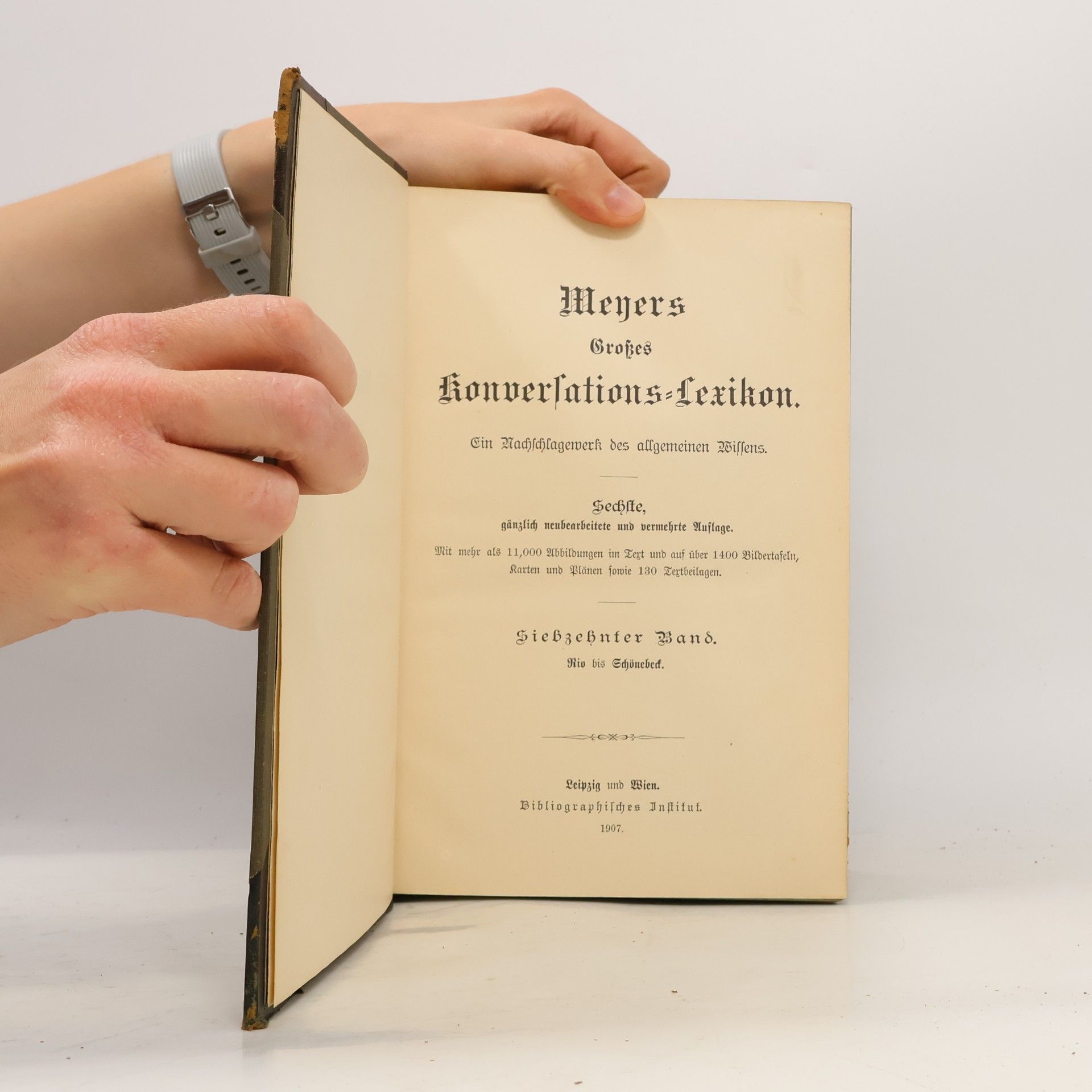 Various authors Meyers Großes Konversations Lexikon 17