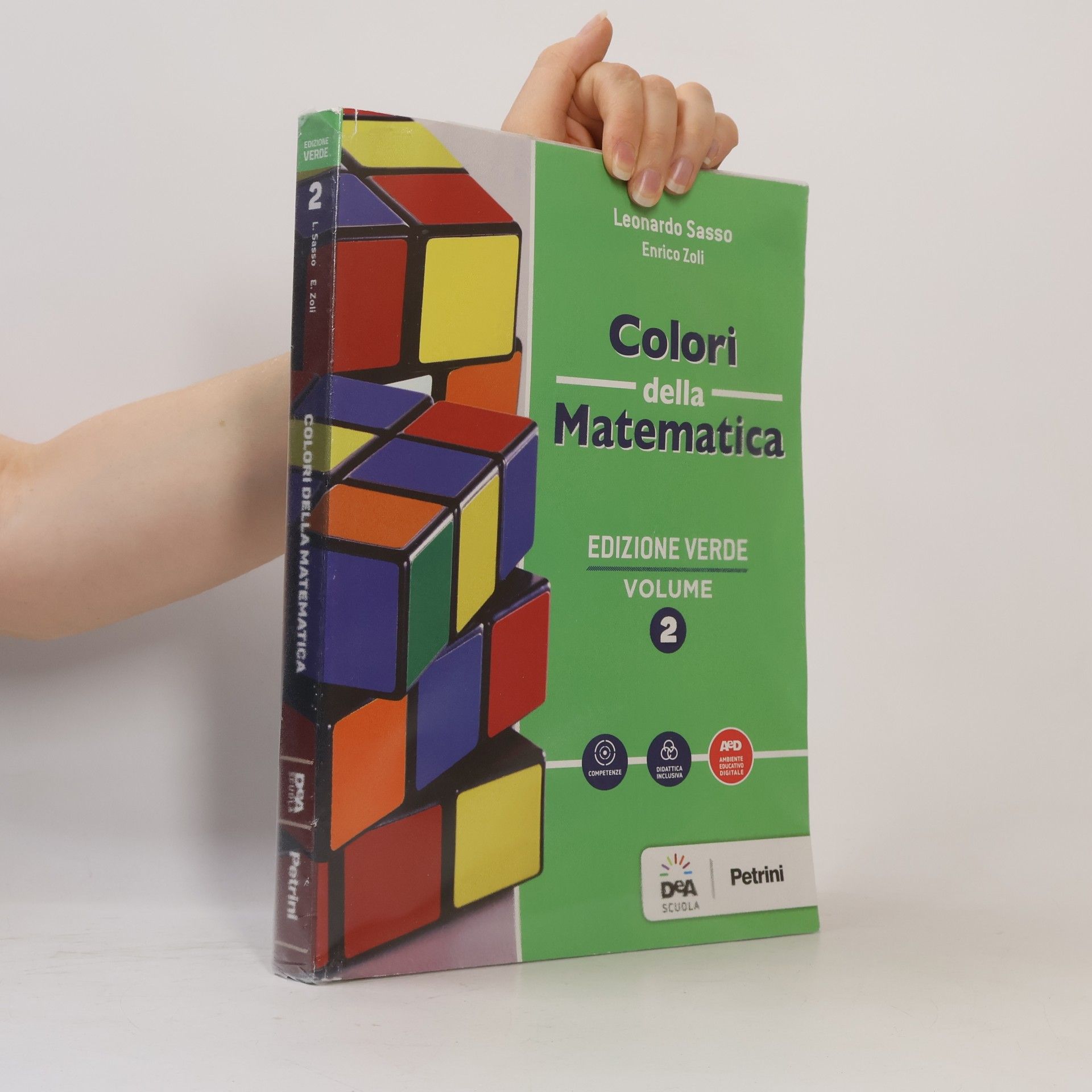 Enrico Zoli Edizione Verde - 2: Colori della Matematica