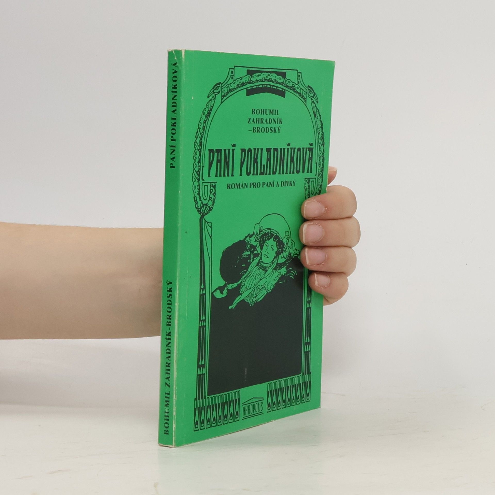 Paní pokladníková. Román pro paní a dívky