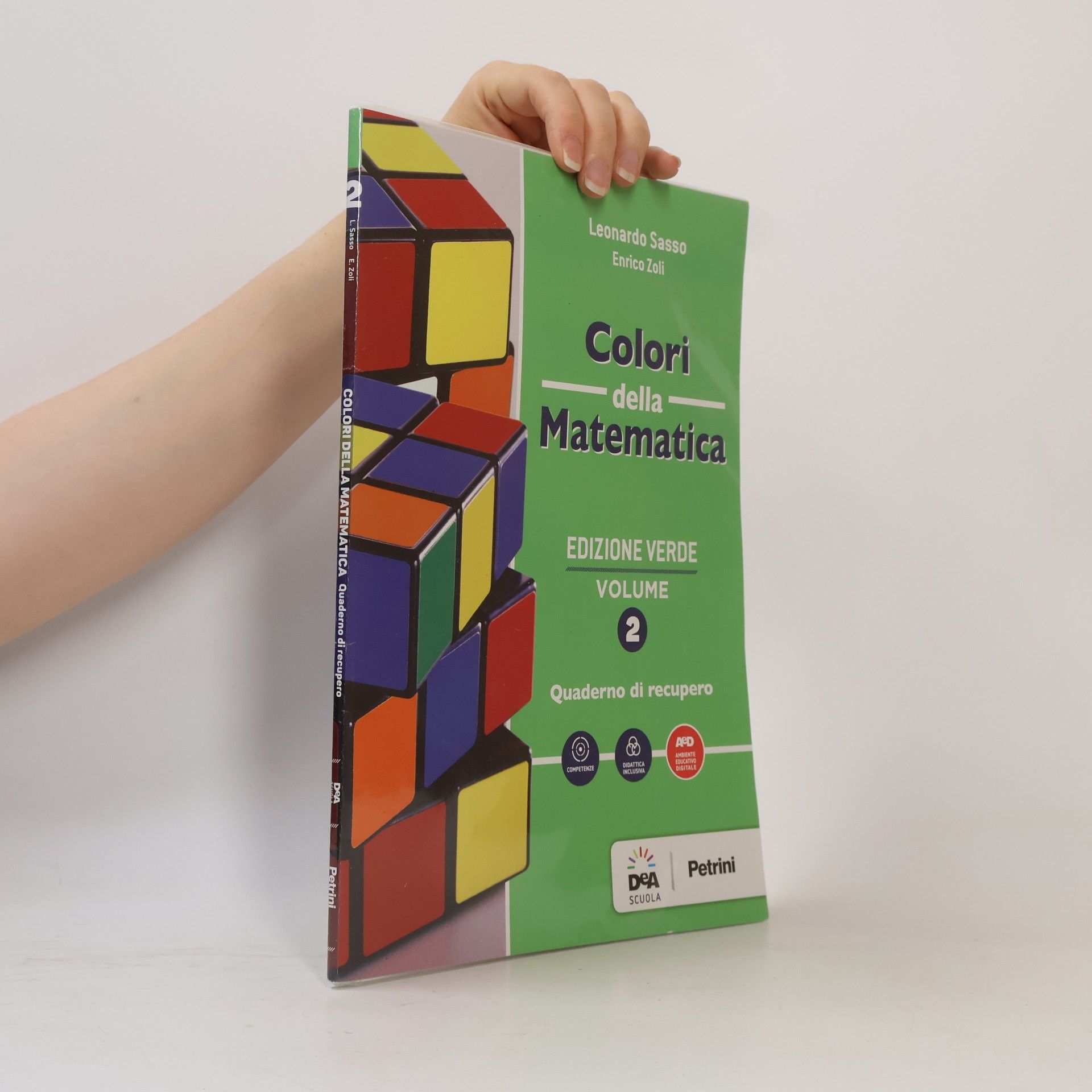 Enrico Zoli Edizione Verde - 2: Colori della Matematica