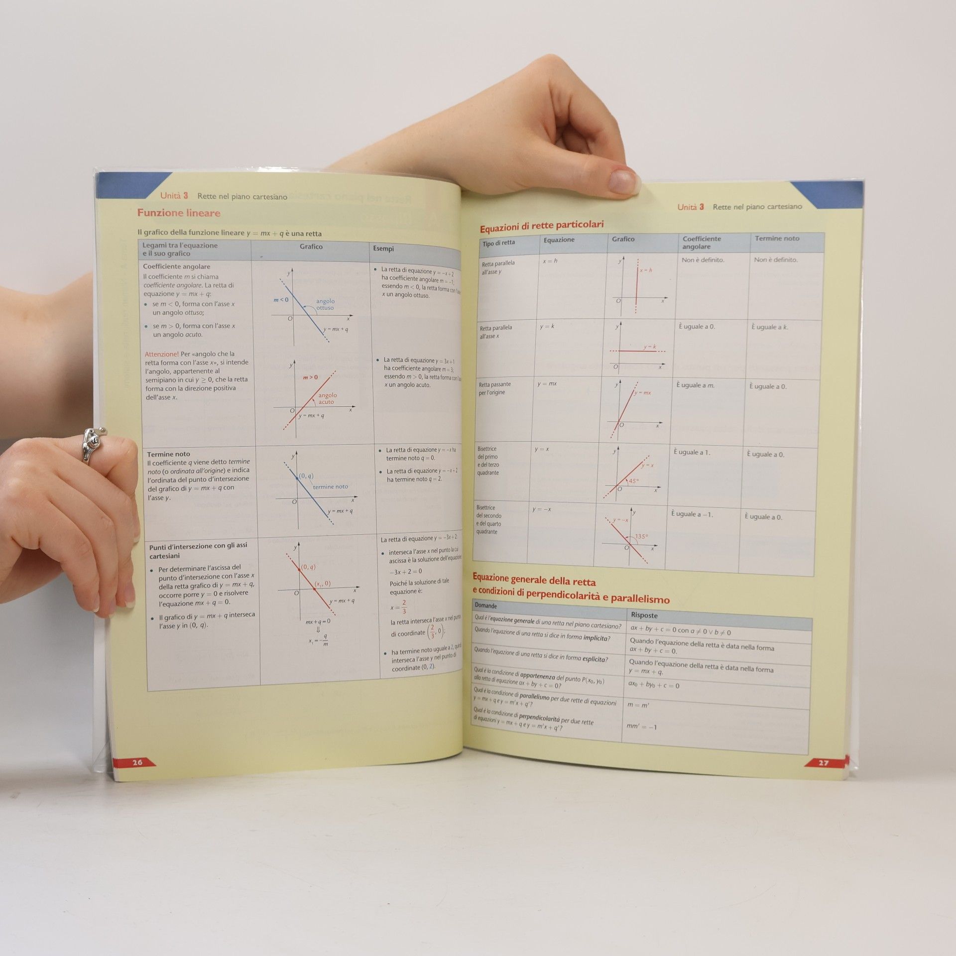 Leonardo Sasso Edizione Verde - 2: Colori della Matematica