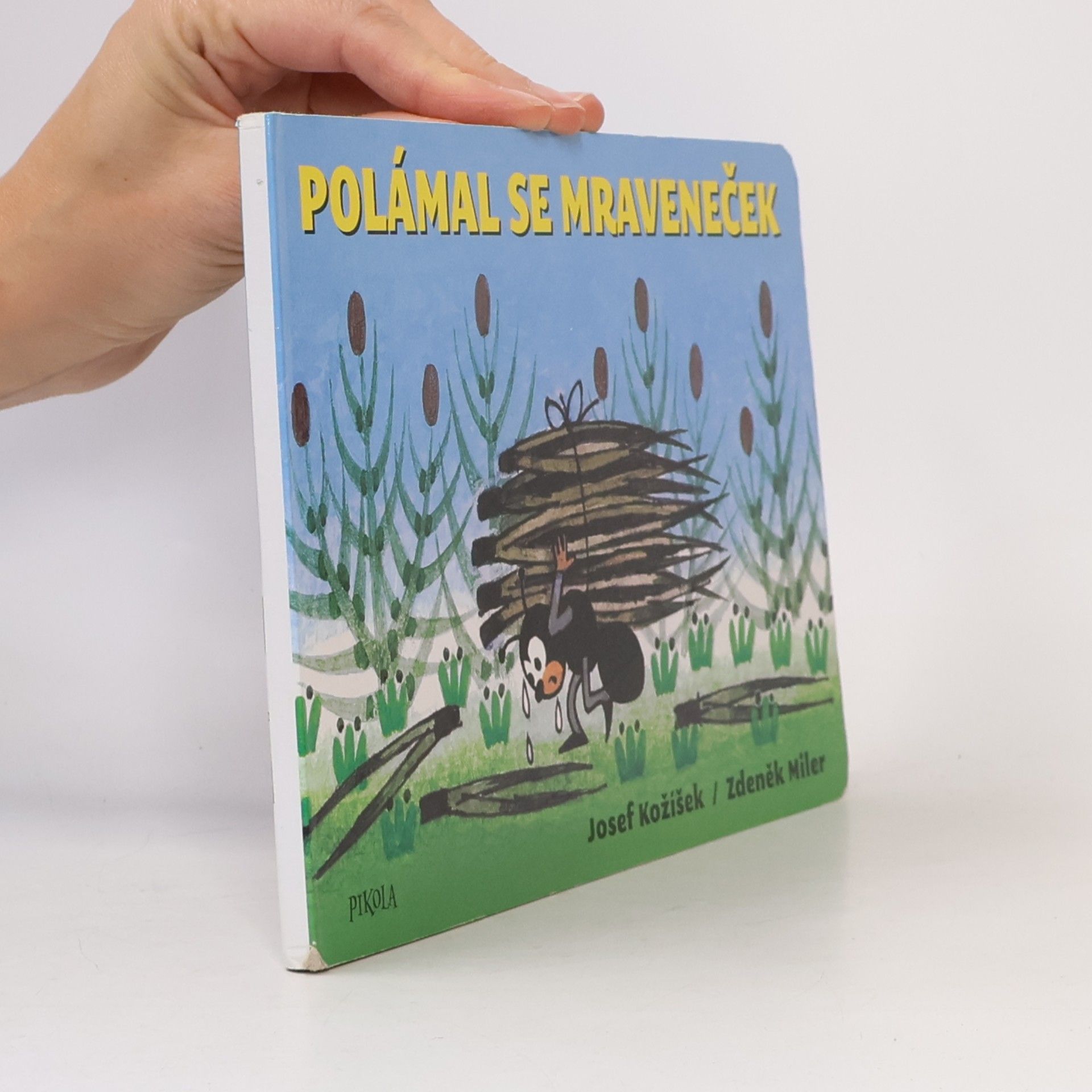 Polámal se mraveneček