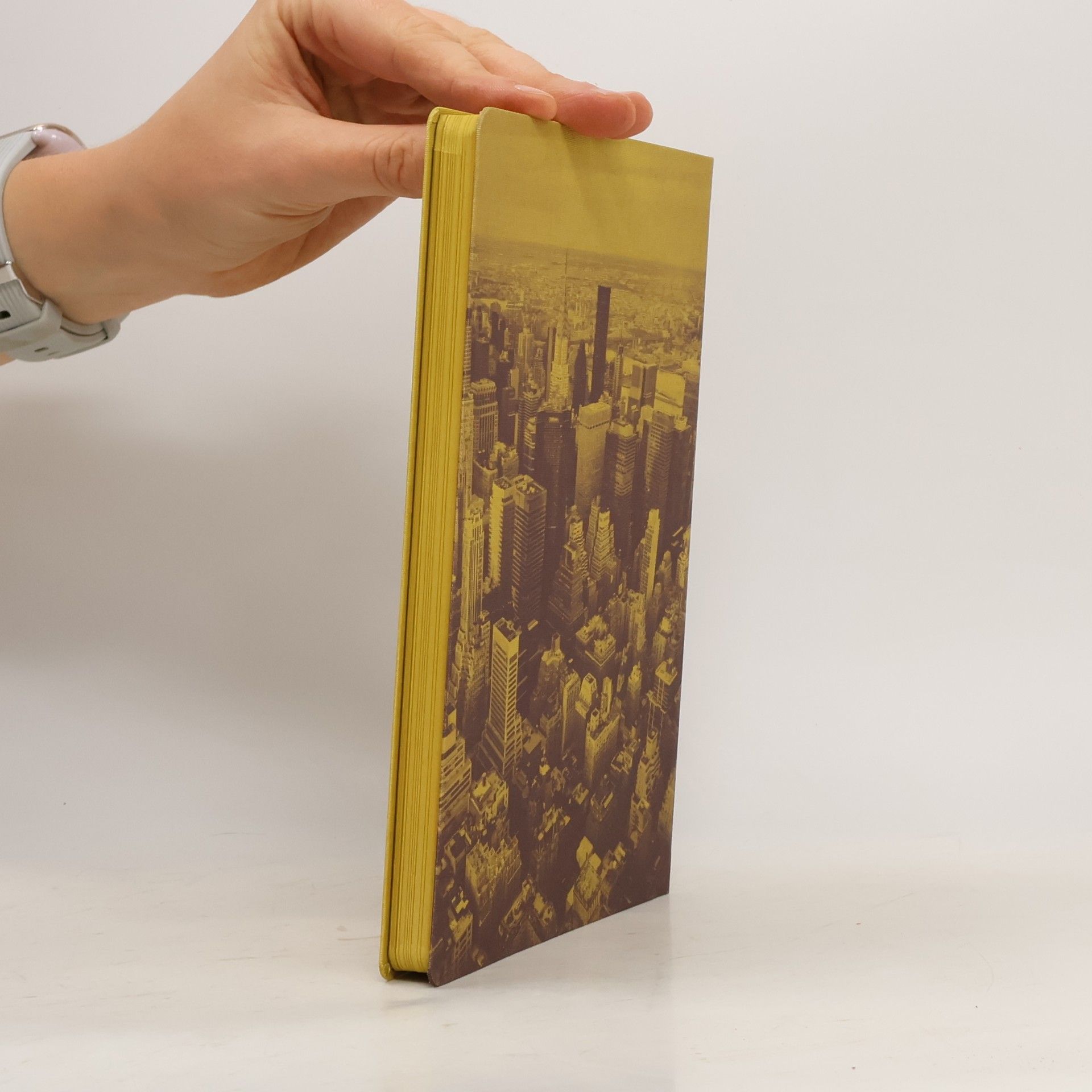 Kolektiv autorů Louis Vuitton City Guide: New York 2015-2016 - Ediz. inglese