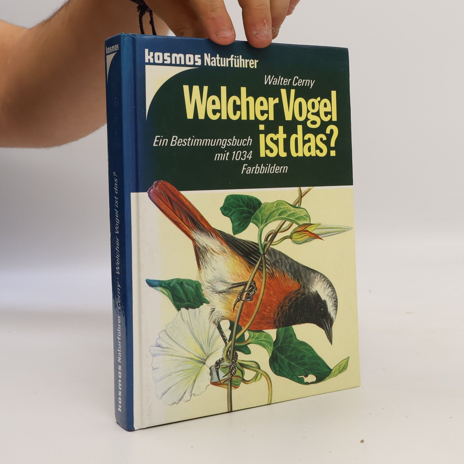 Walter Černý Welcher Vogel ist das?