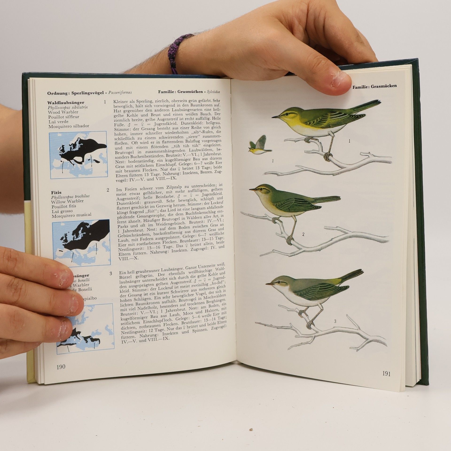 Walter Černý Welcher Vogel ist das?
