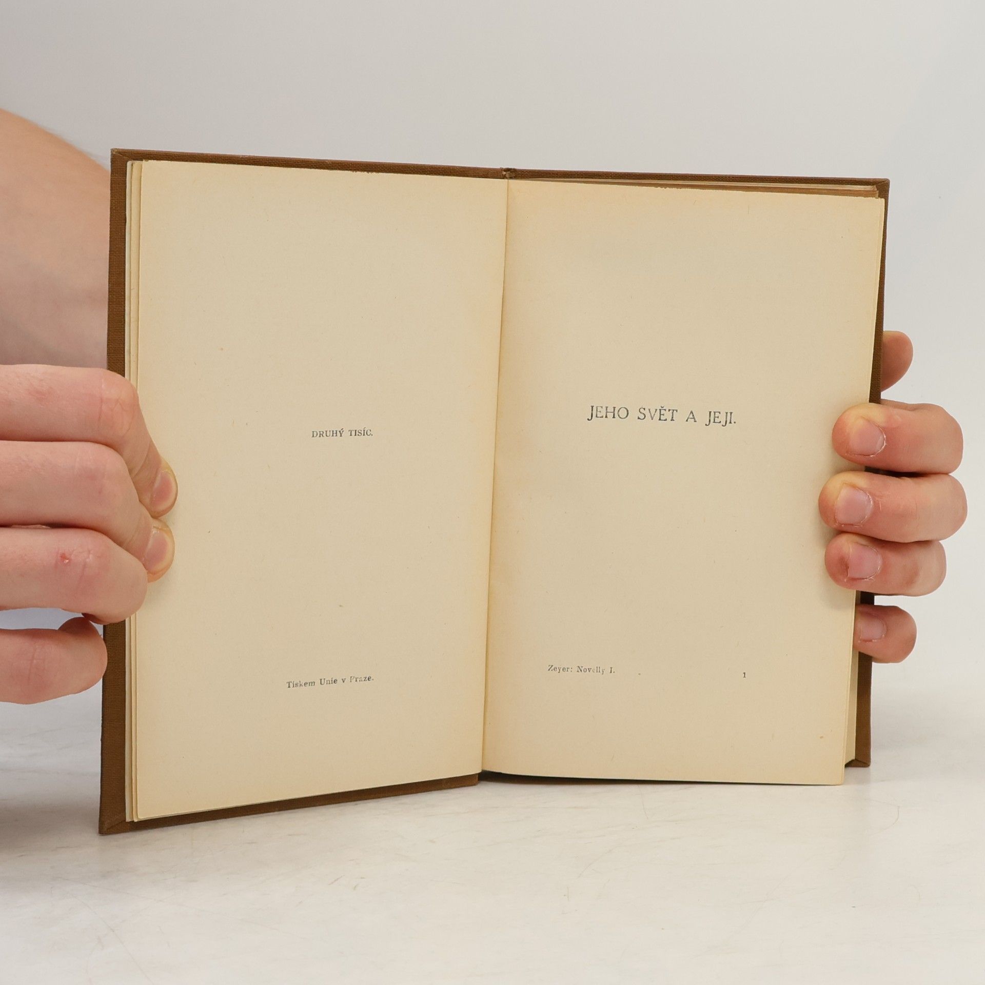 Julius Zeyer Novelly I.