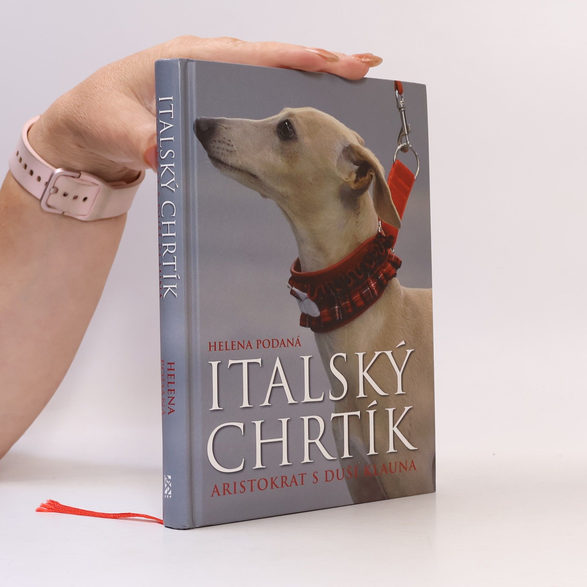 Helena Podaná Italský chrtík - Aristokrat s duší klauna