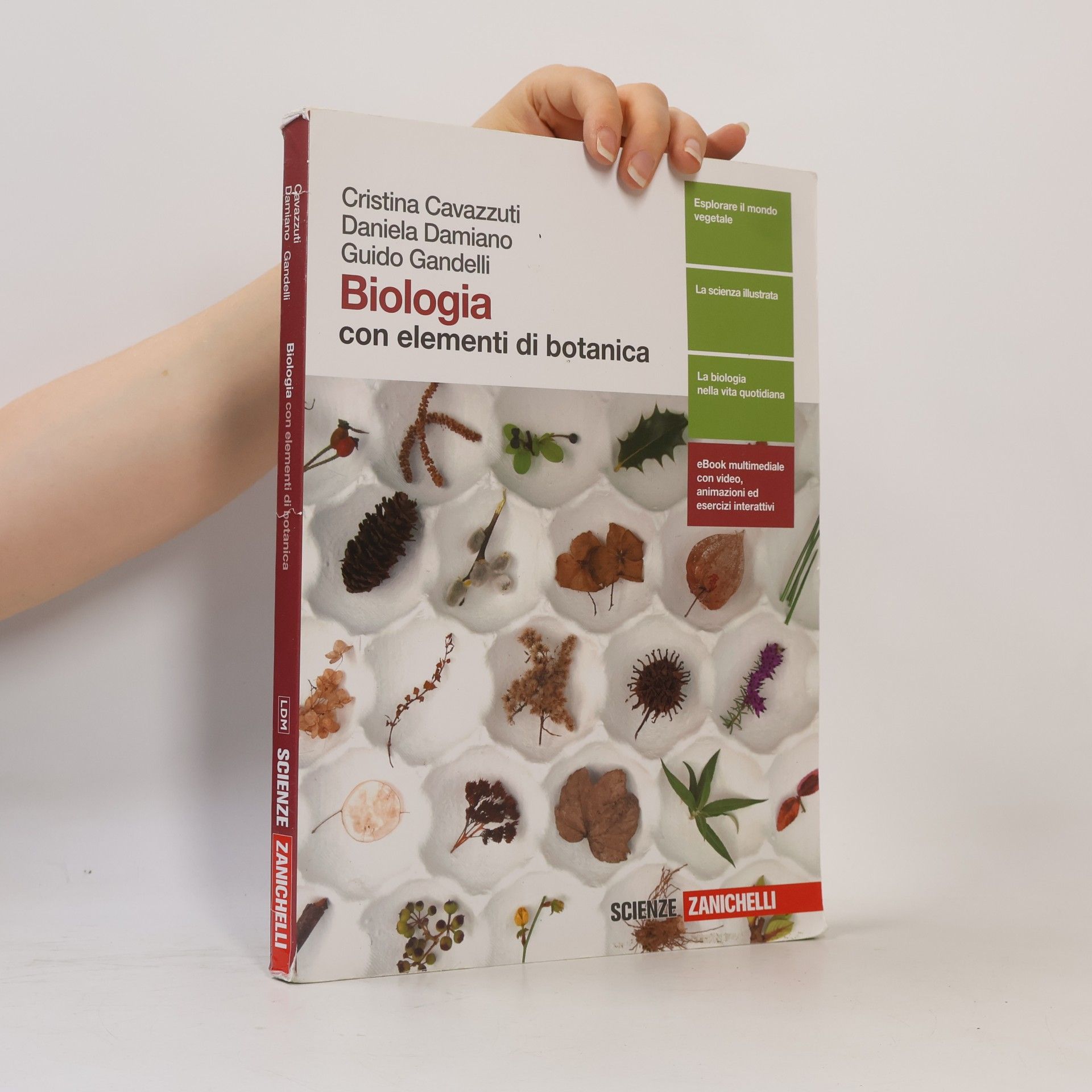 Scienze: Biologia