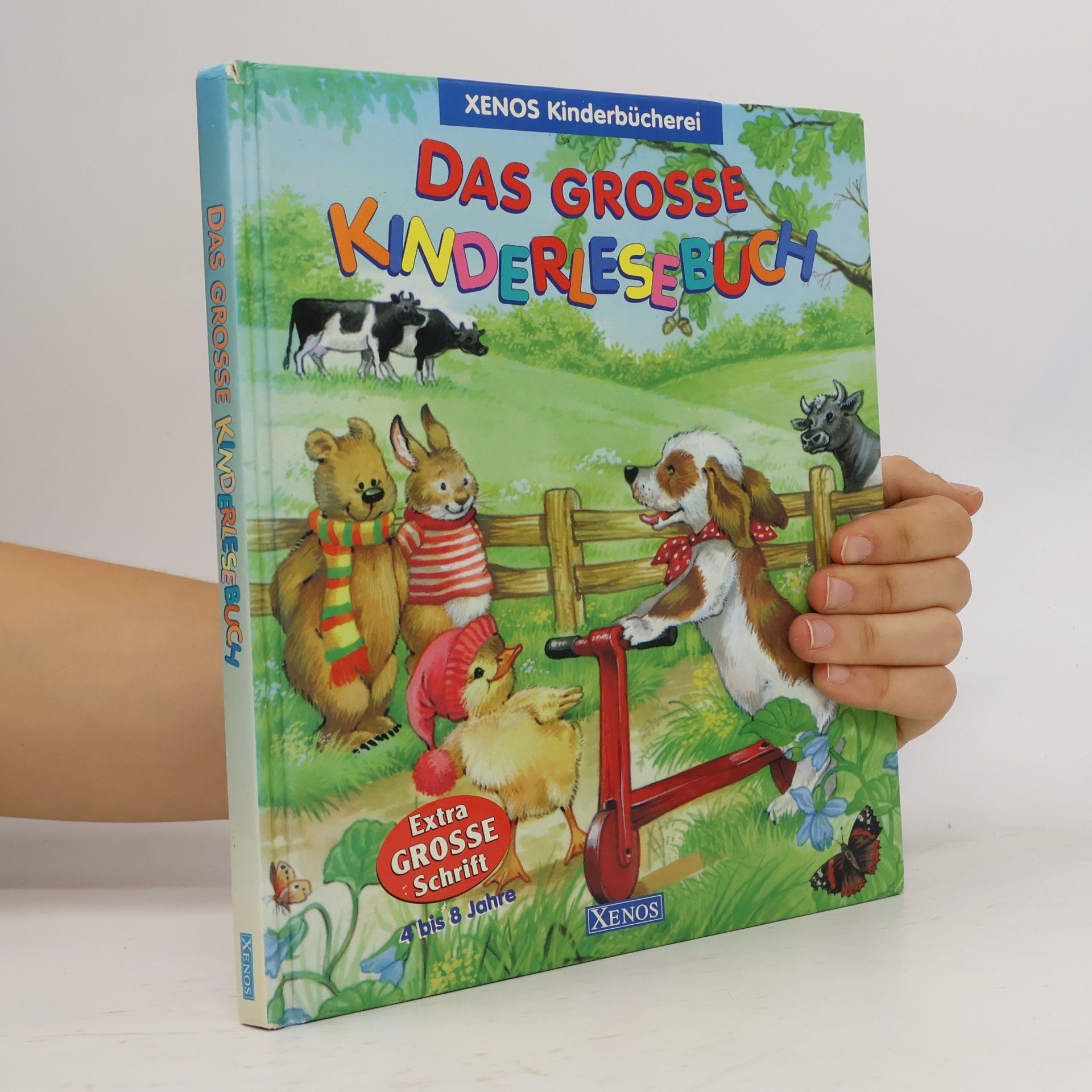 Autores varios Das große Kinderlesebuch