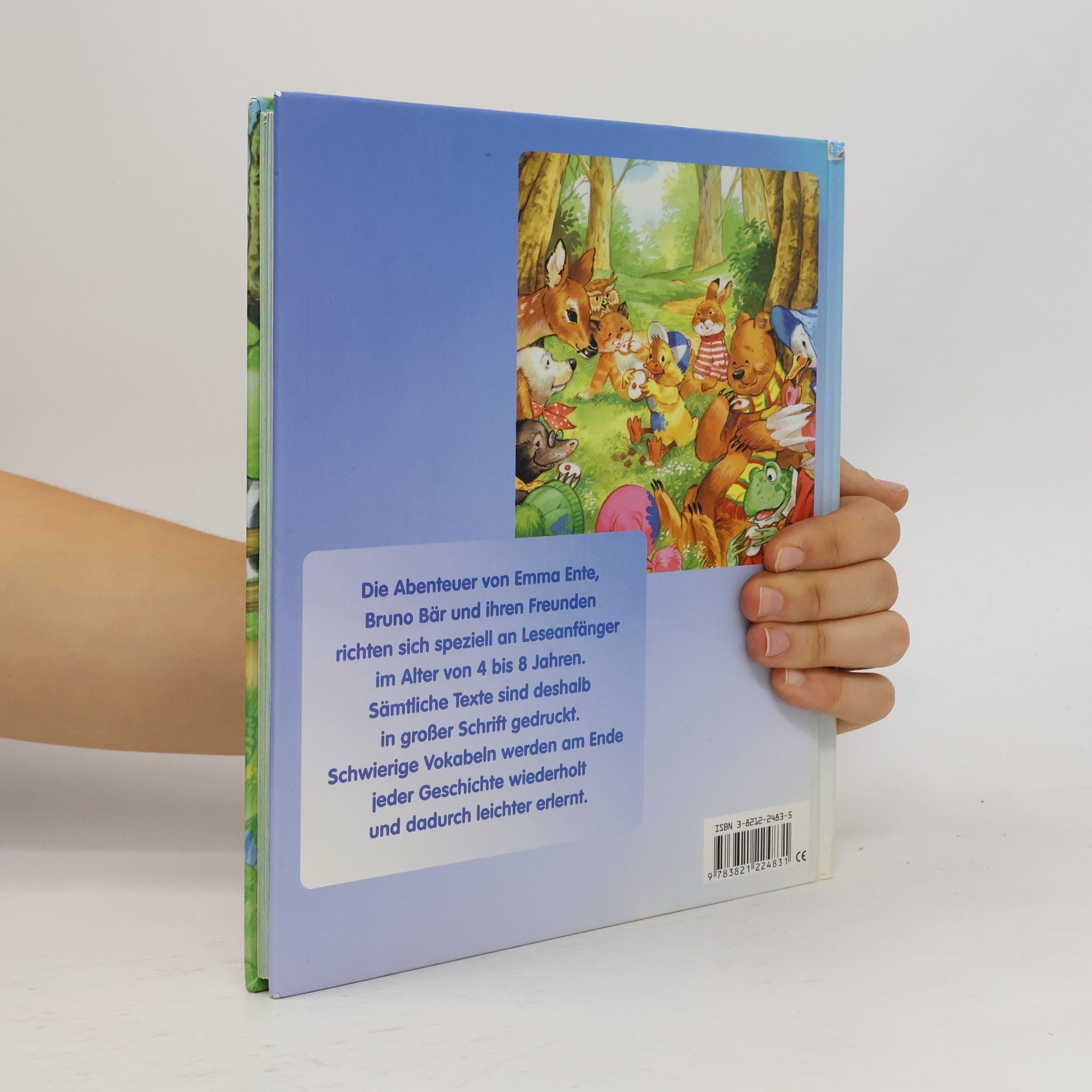 Das große Kinderlesebuch