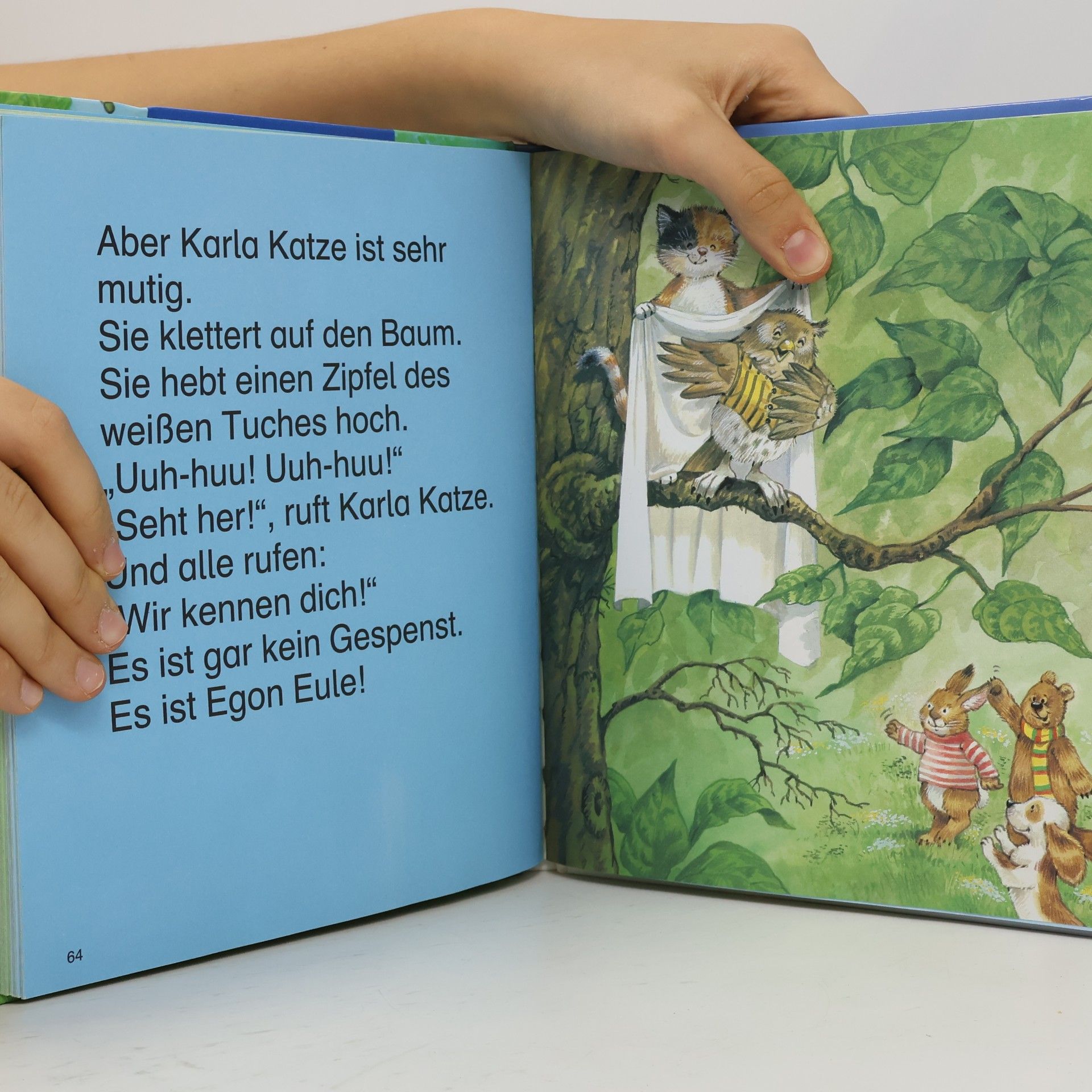 Das große Kinderlesebuch