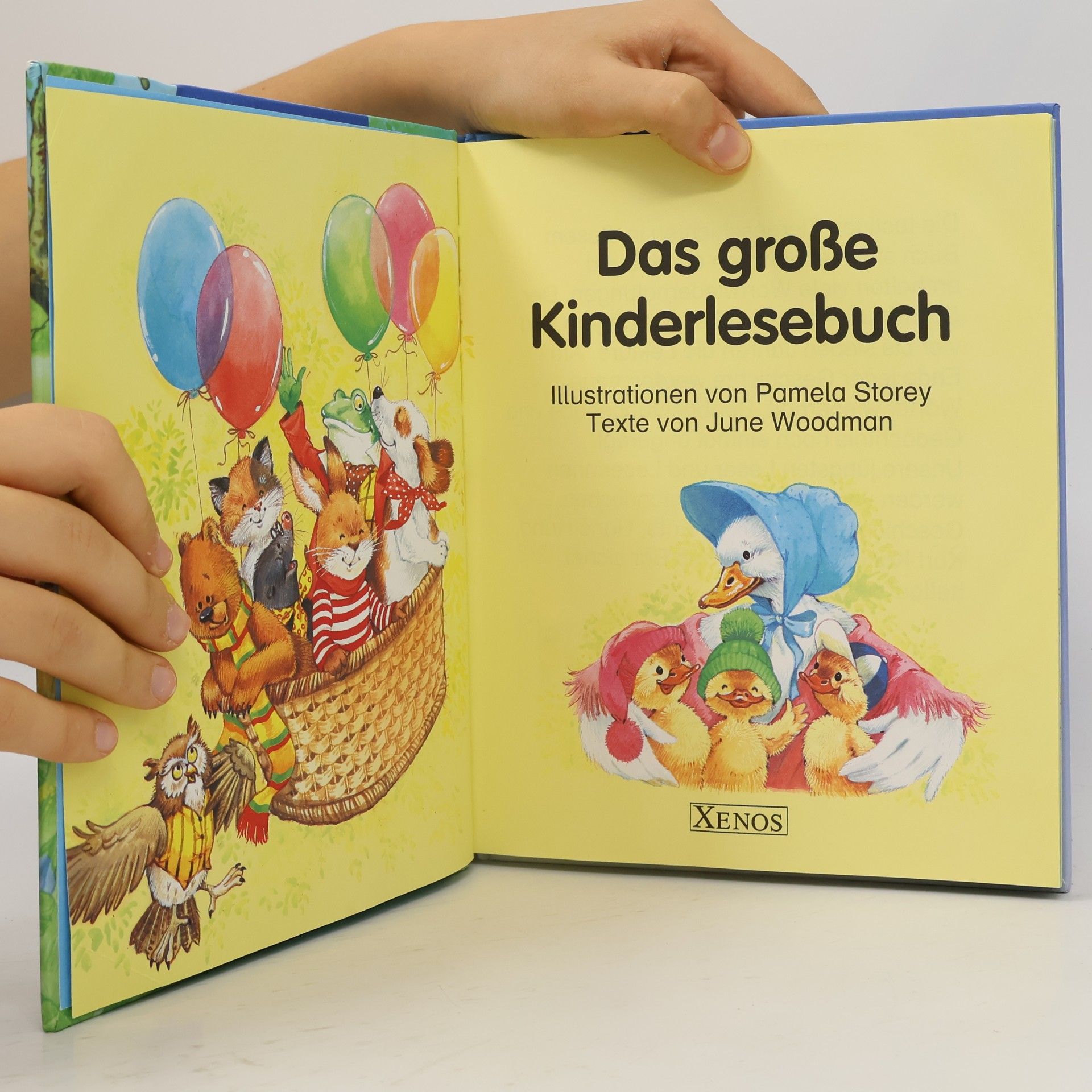 Das große Kinderlesebuch