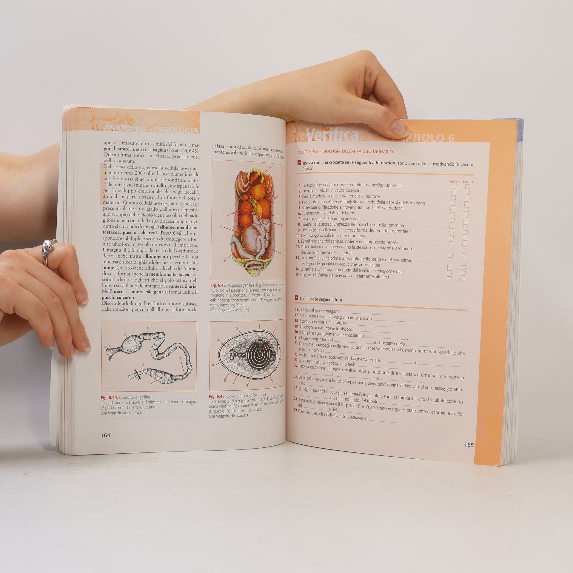 Alba Veggetti Anatomia fisiologia zoognostica. Per gli Ist. Tecnici agrari