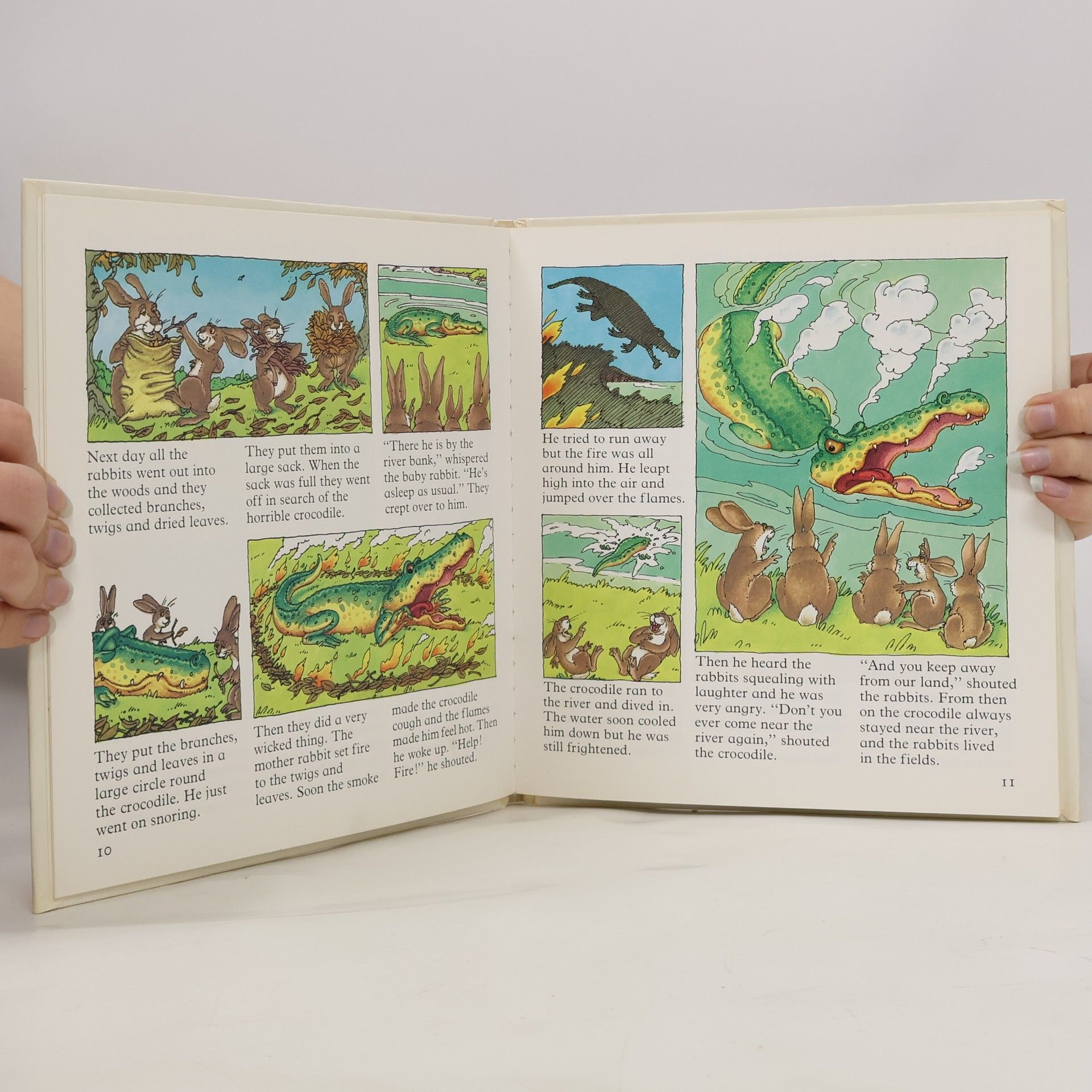 Carol Watson Usborne Story Books: Animal Legends