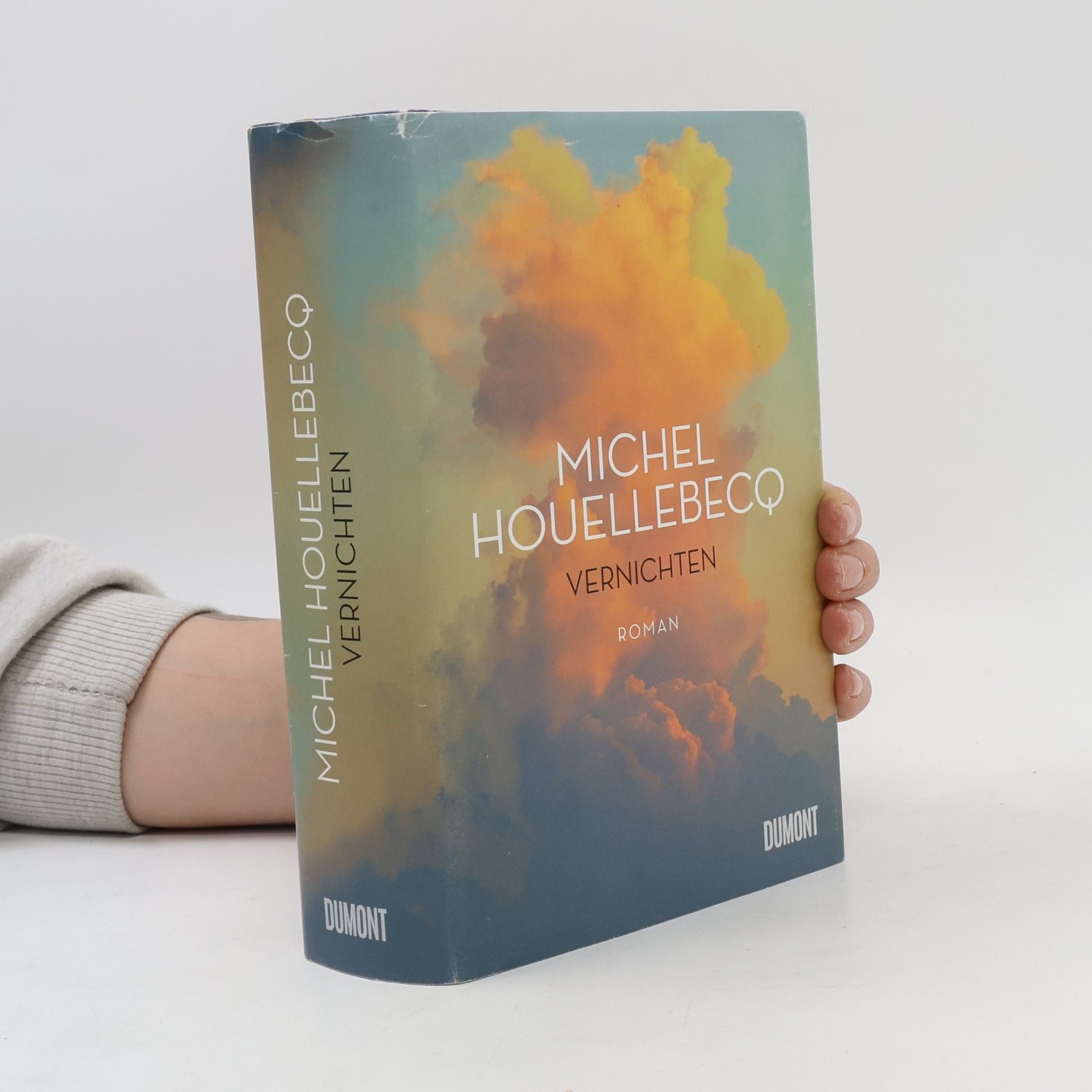 Michel Houellebecq Vernichten