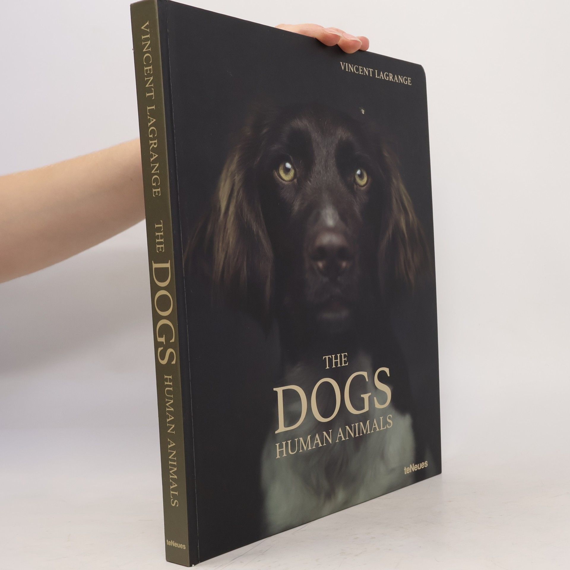 Vincent Lagrange The dogs: Human animals