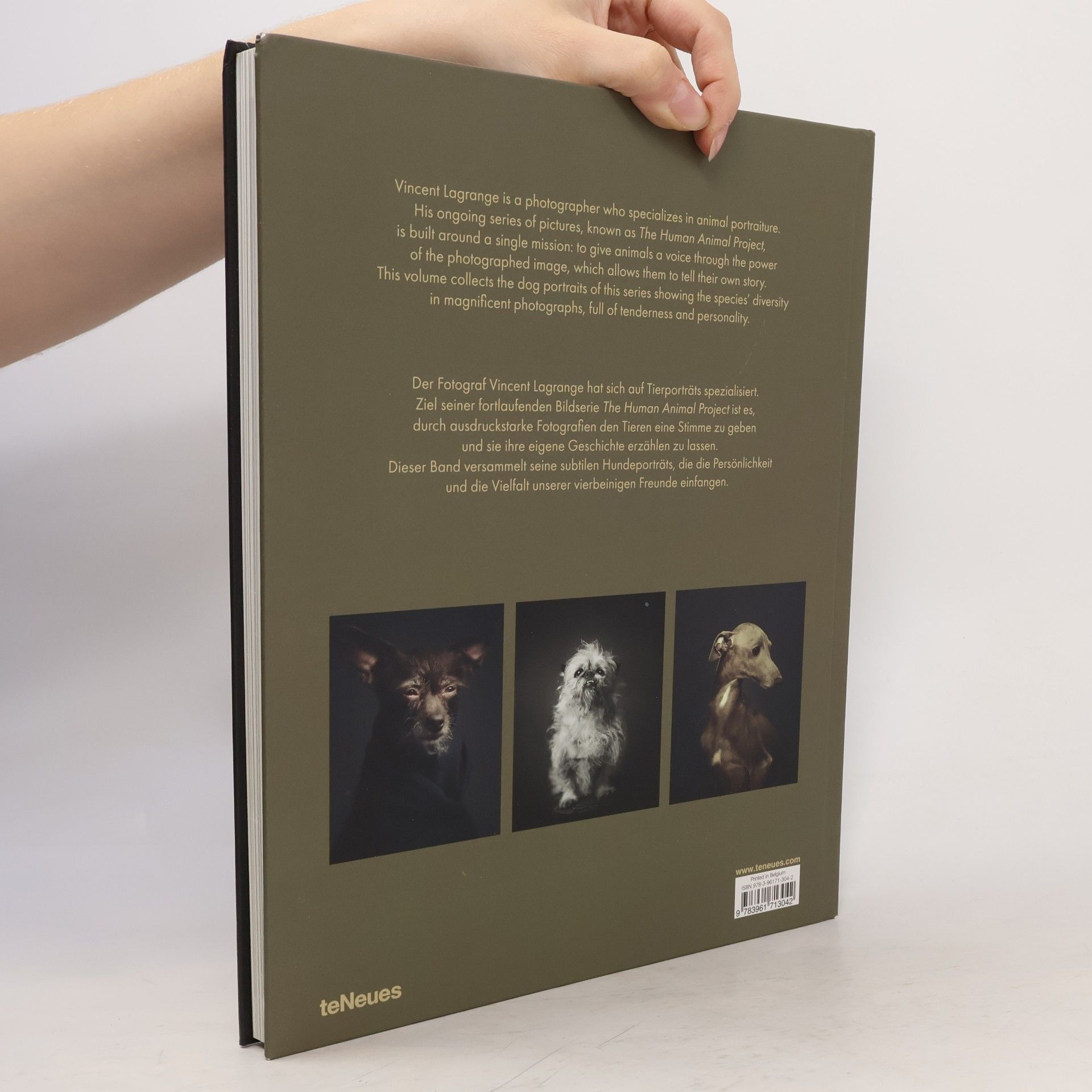 Vincent Lagrange The dogs: Human animals