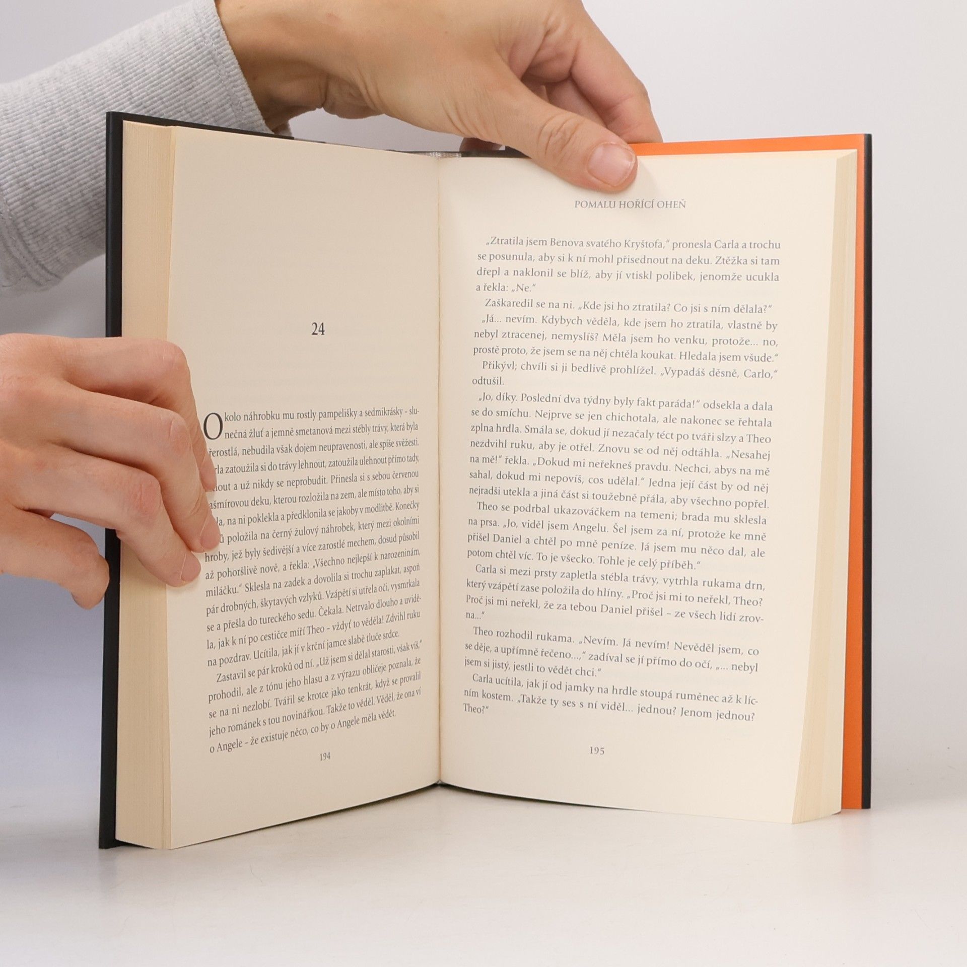 Paula Hawkins Pomalu hořící oheň