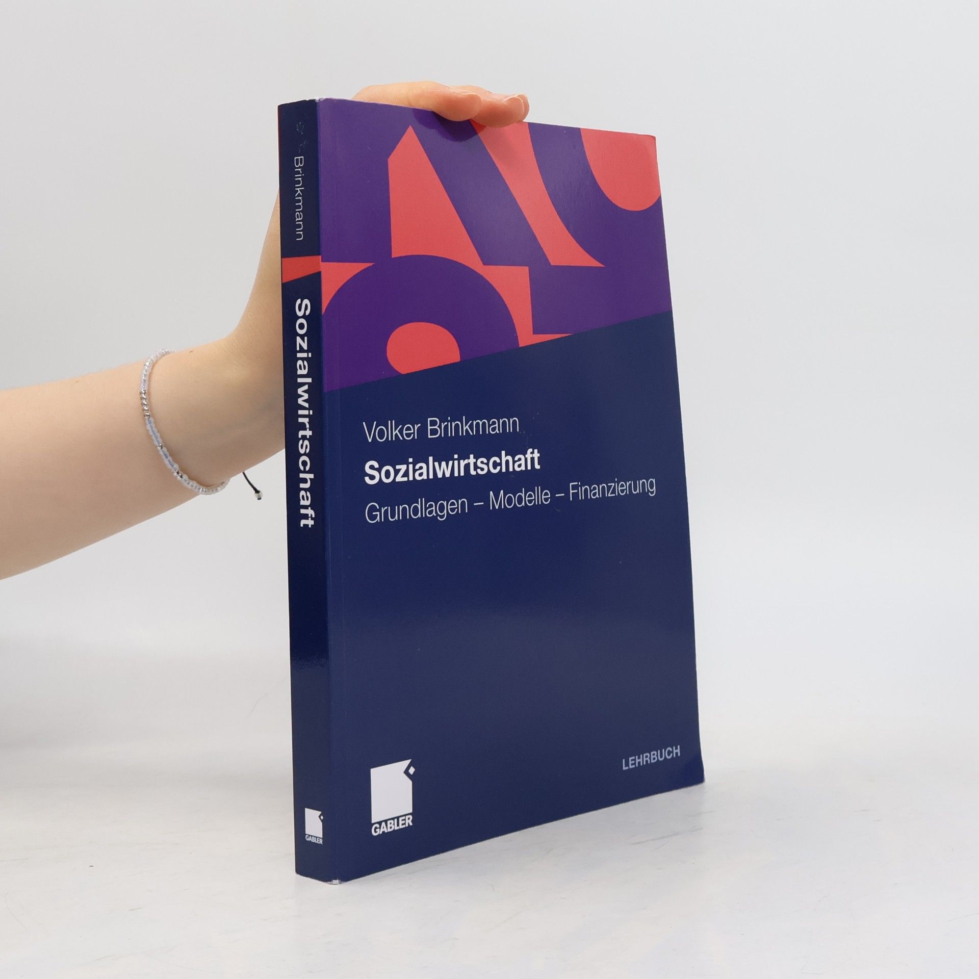 Volker Brinkmann Sozialwirtschaft
