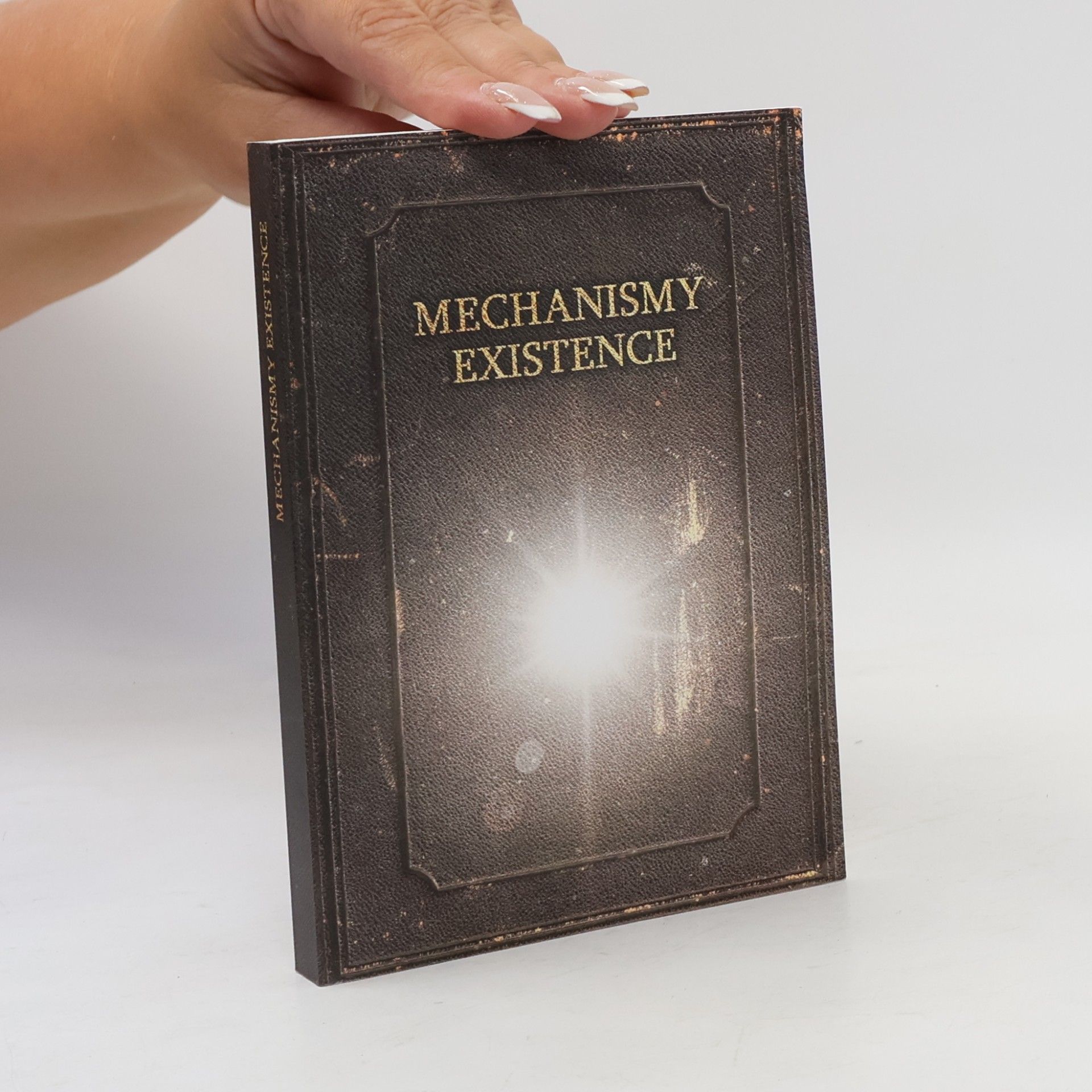 kolektiv Mechanismy existence