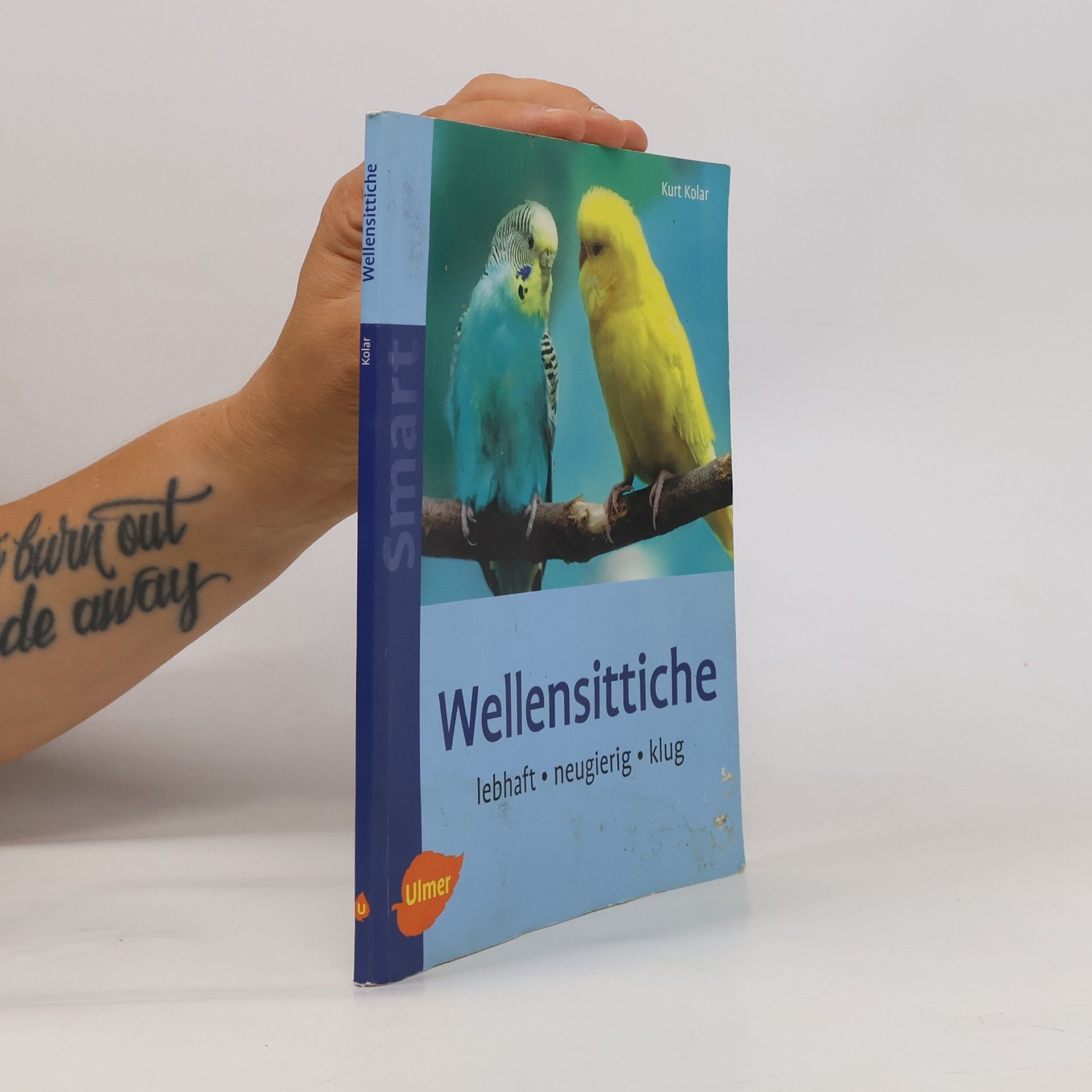 Kurt Kolar Wellensittiche
