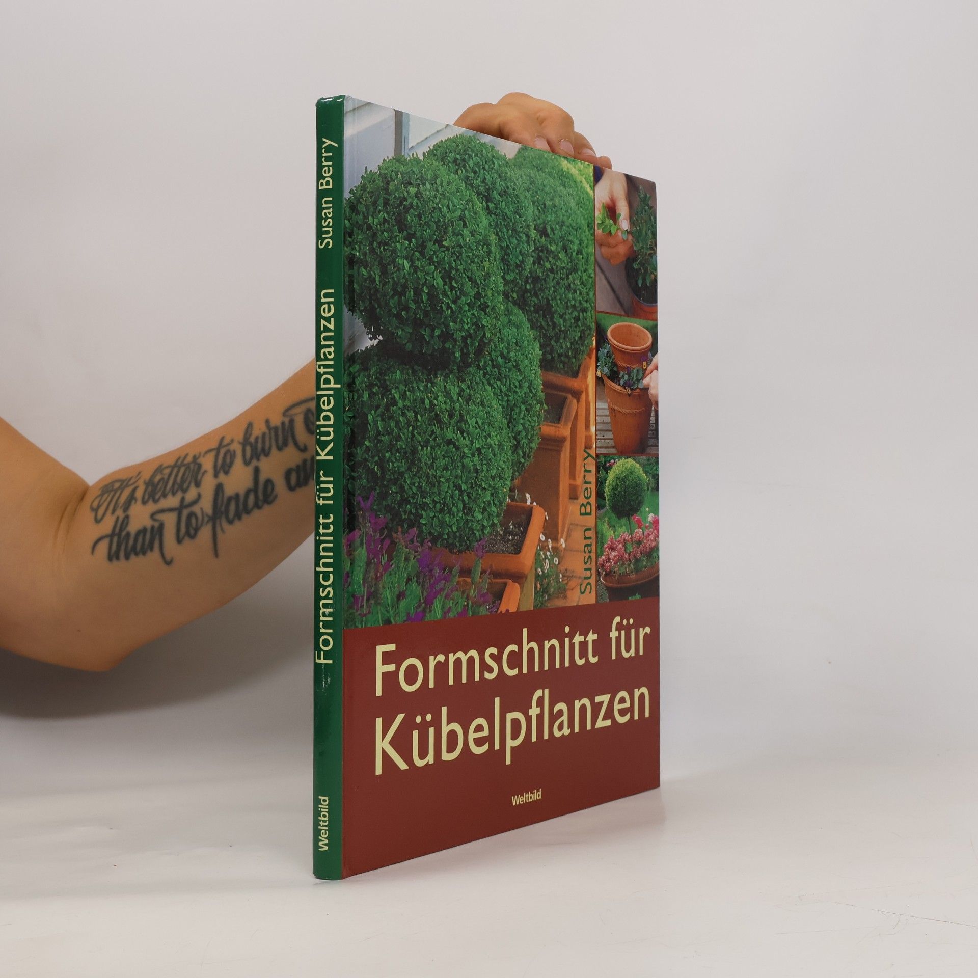 Formschnitt für Kübelpflanzen