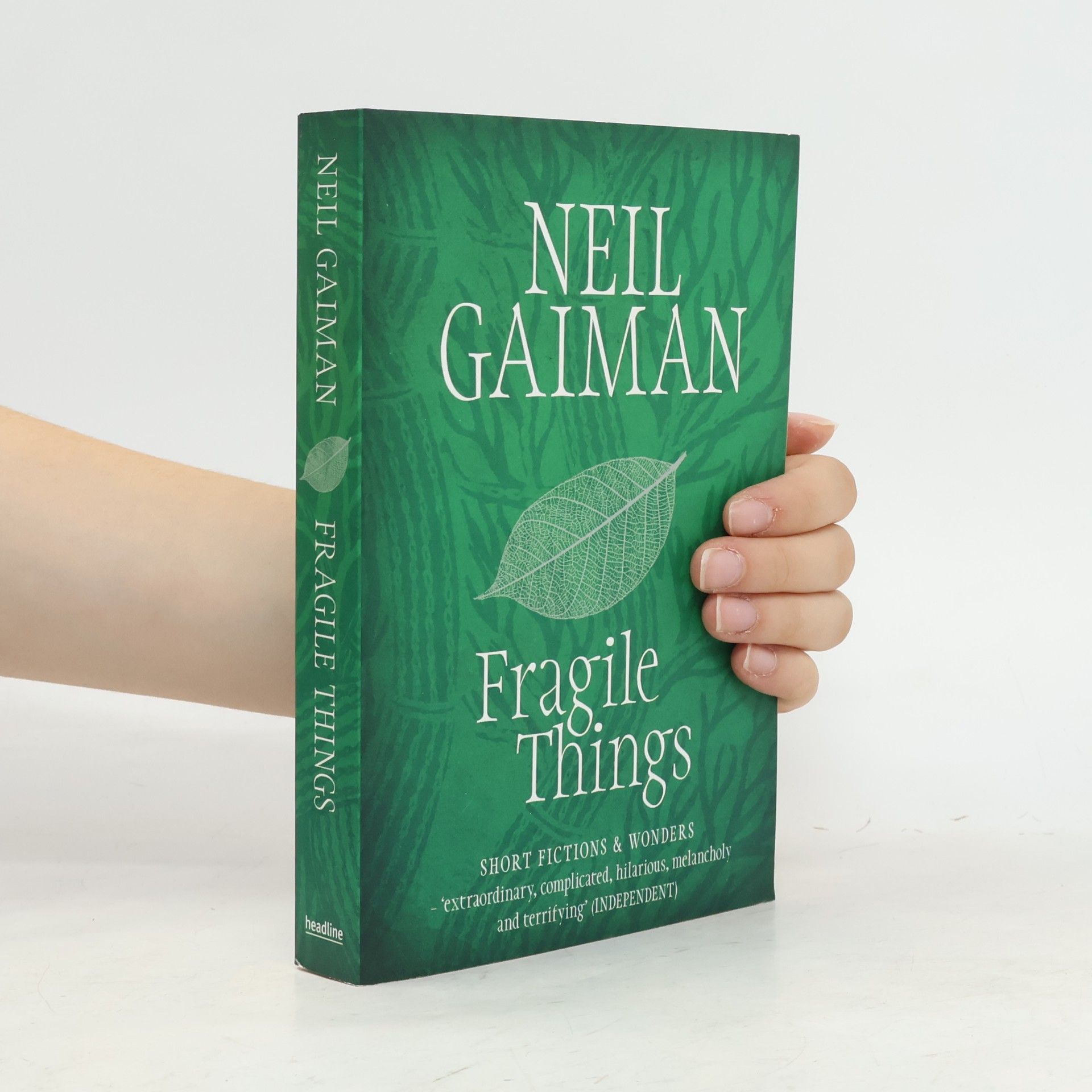 Neil Gaiman Fragile Things