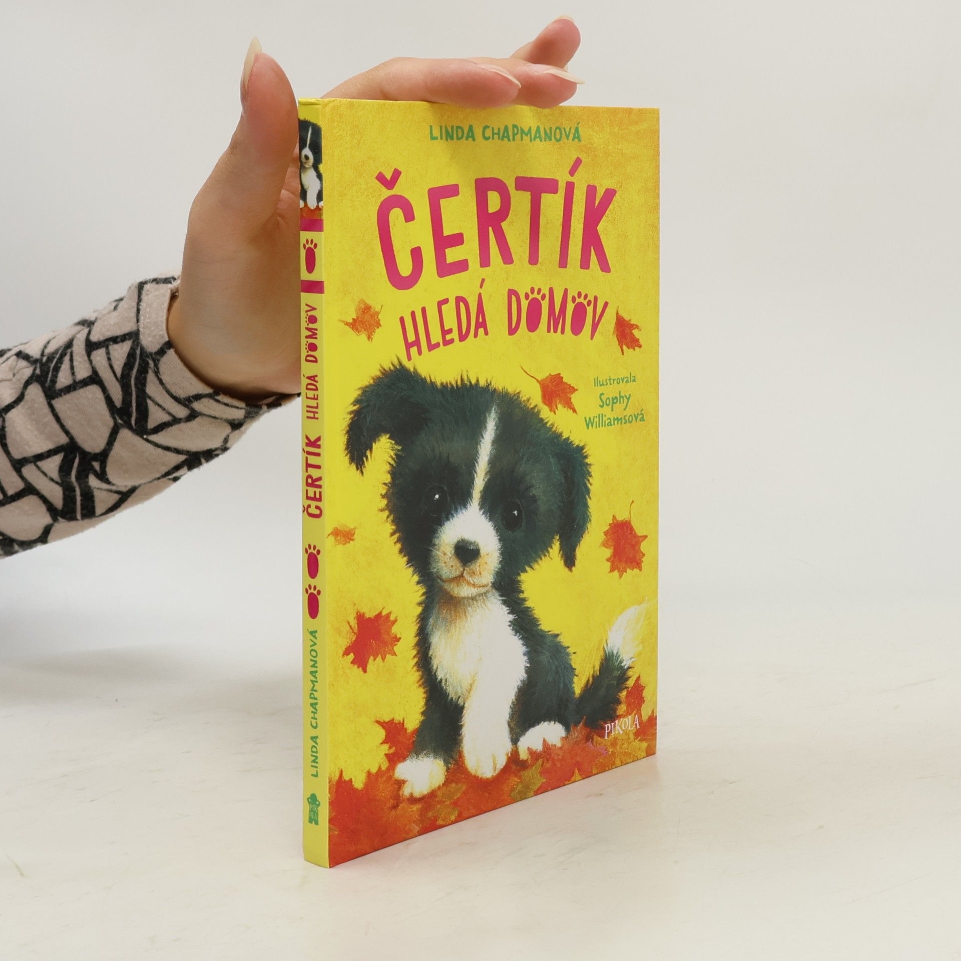 Linda Champan Čertík hledá domov