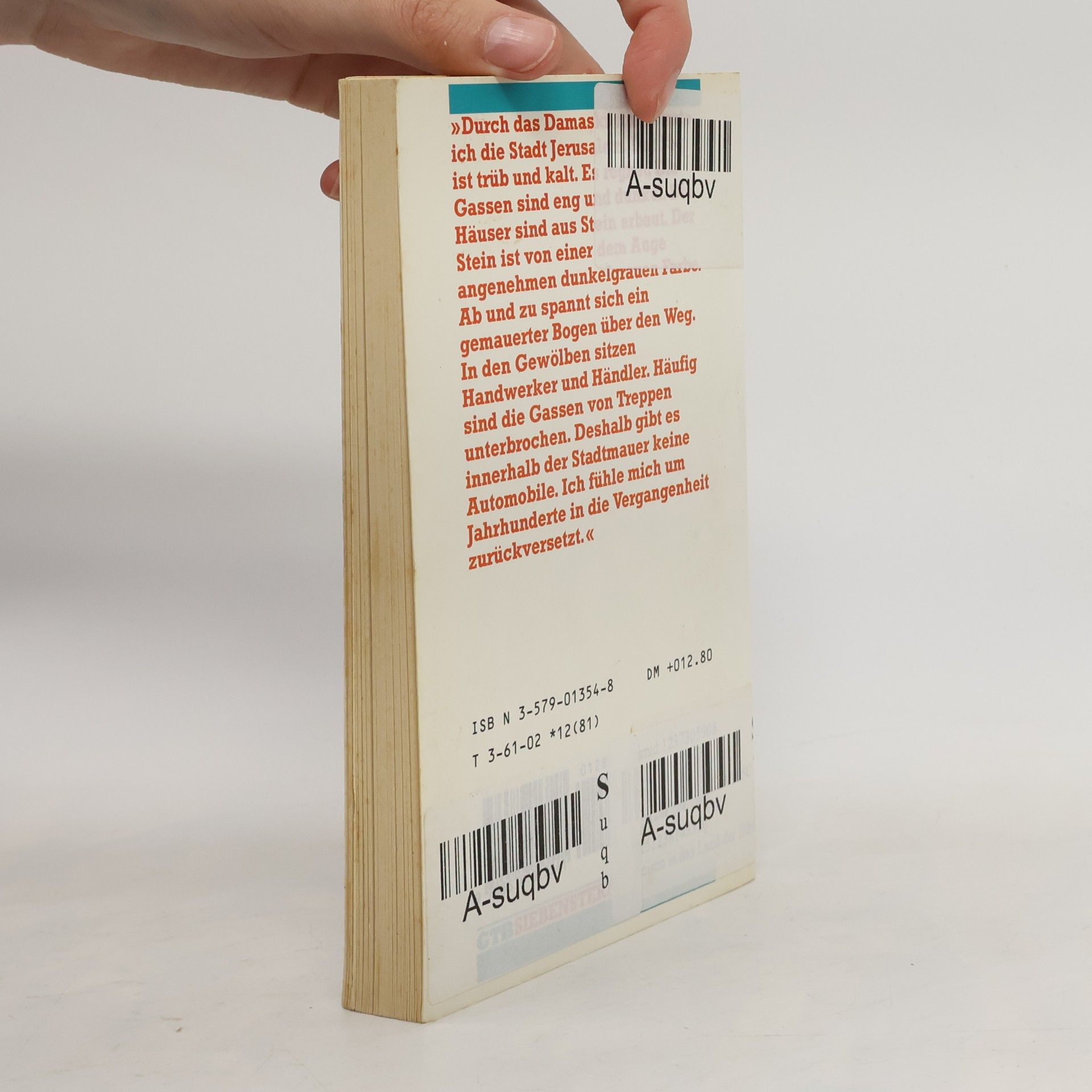 Peter Bamm Grossdruck Bibliothek: Reisen in das Land der Bibel
