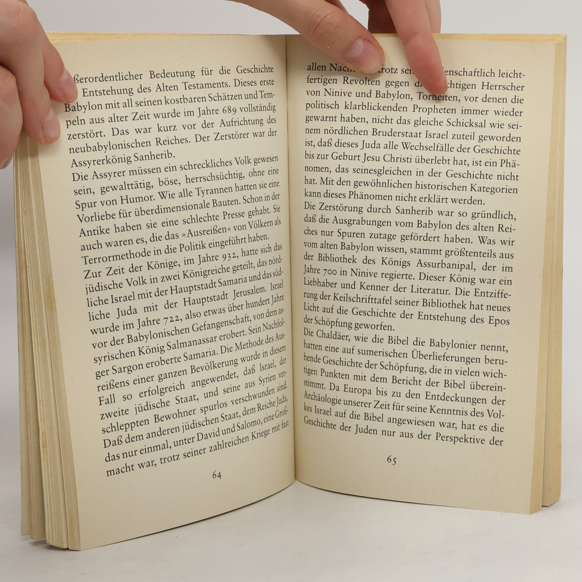Peter Bamm Grossdruck Bibliothek: Reisen in das Land der Bibel
