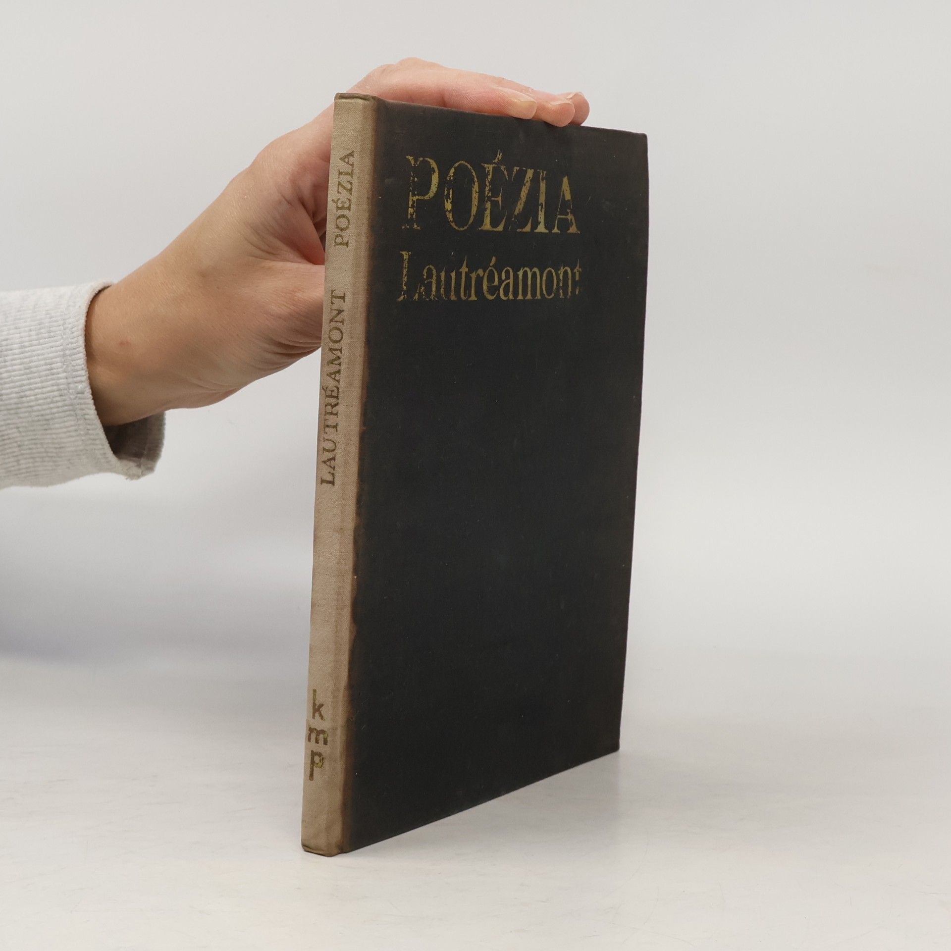 Poézia