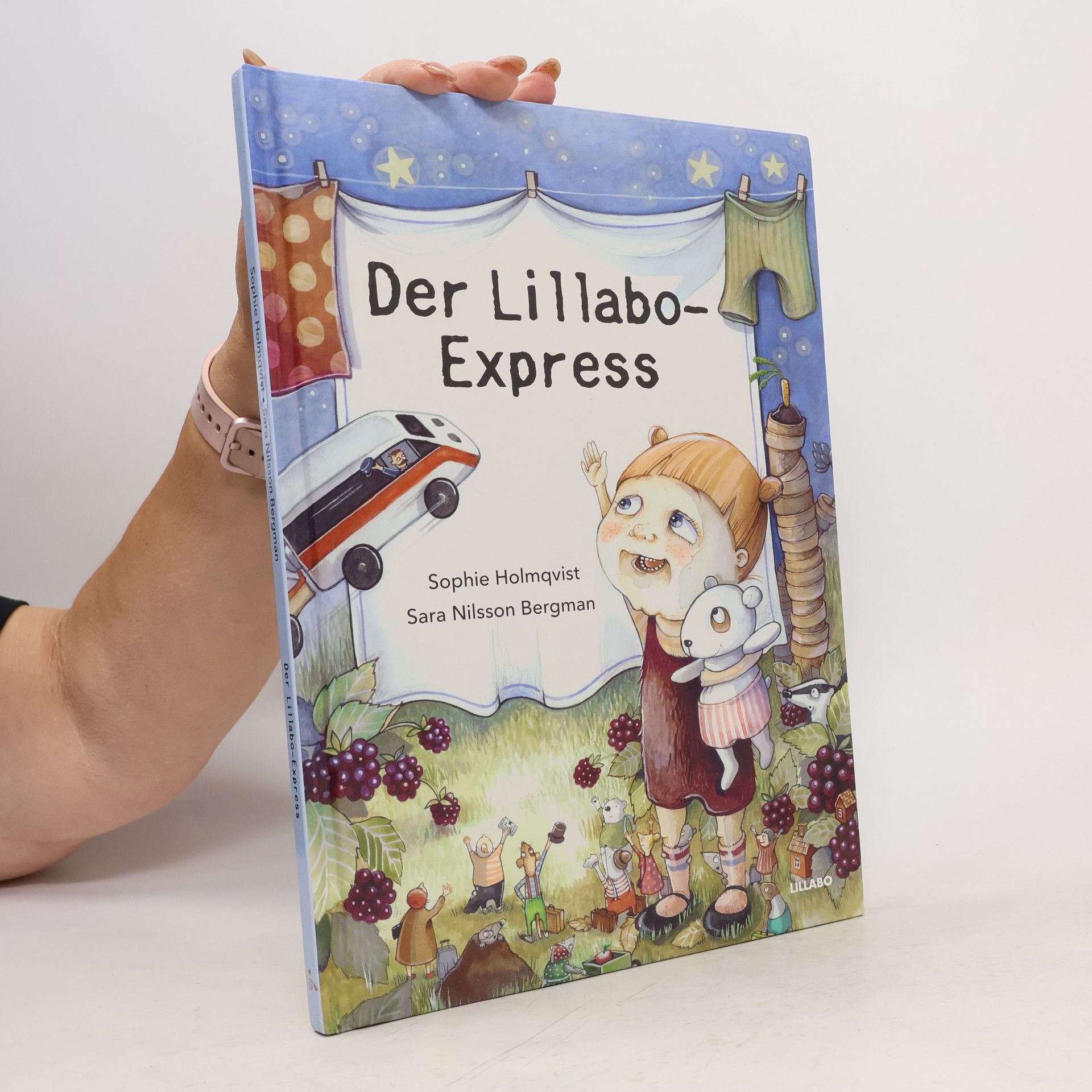 Sophie Holmqvist Der Lillabo-Express