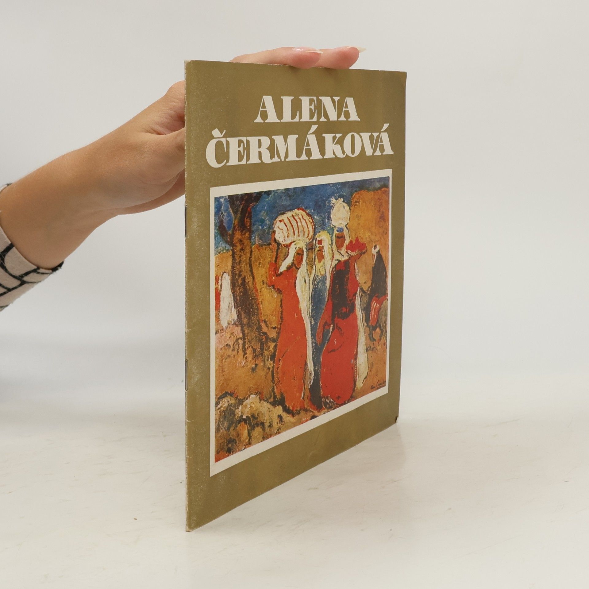 Kolektiv autorů Alena Čermáková
