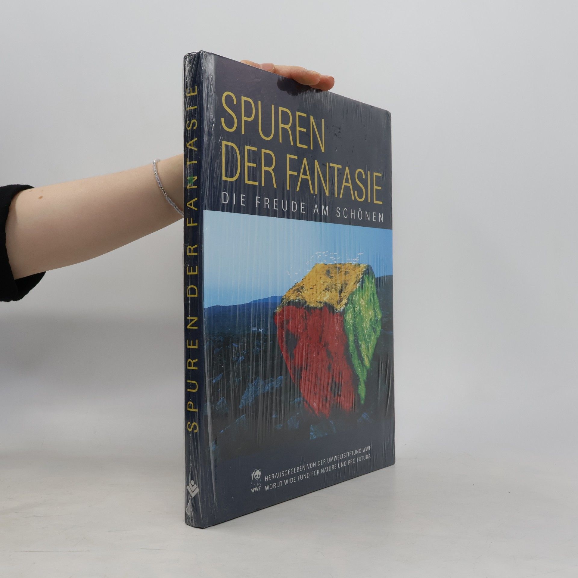 Autorenkollektiv Spuren der Fantasie