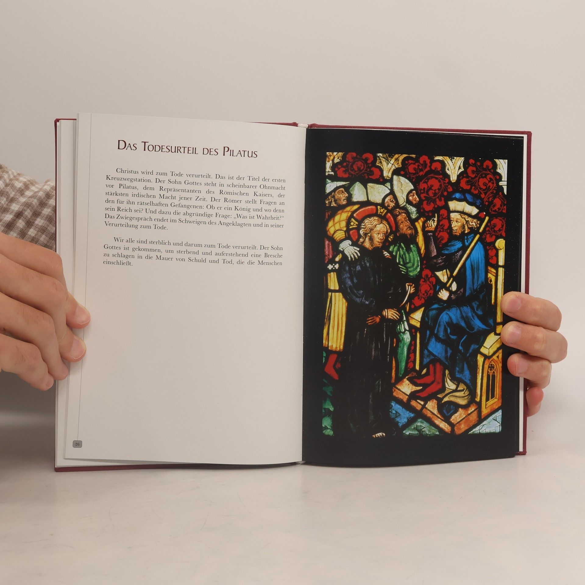 Dr. Egon Kapellari Breitenauer Bilderbibel