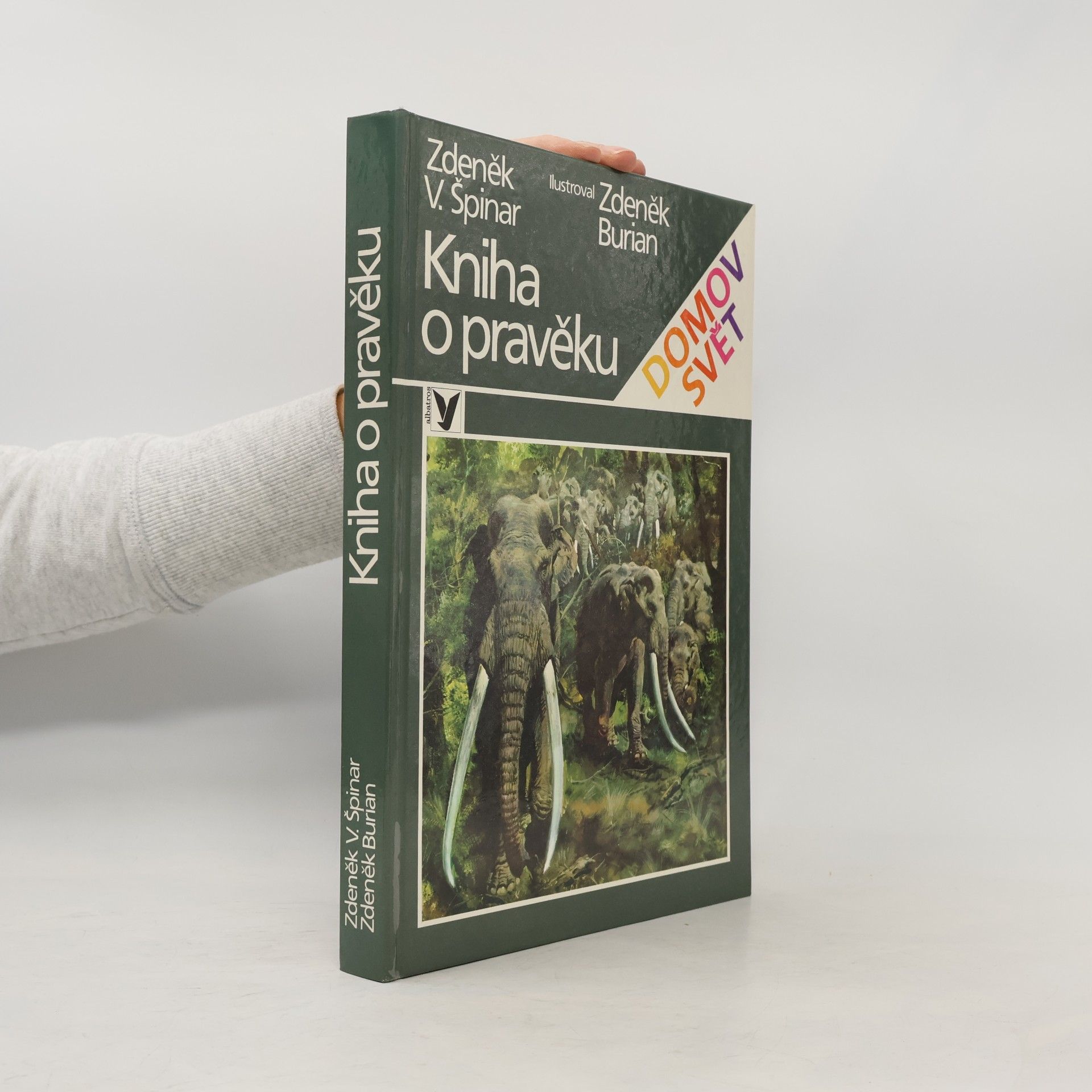 Kniha o pravěku
