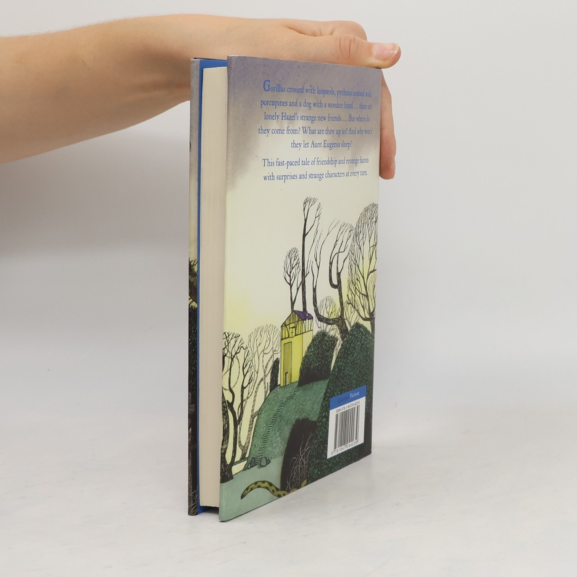 Leander Deeny Hazel's Phantasmagoria