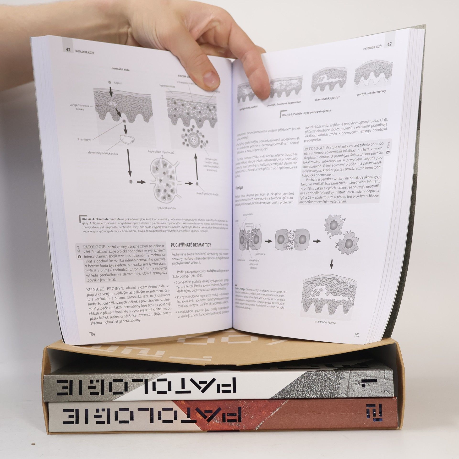 Kolektiv autorů Patologie 1-3