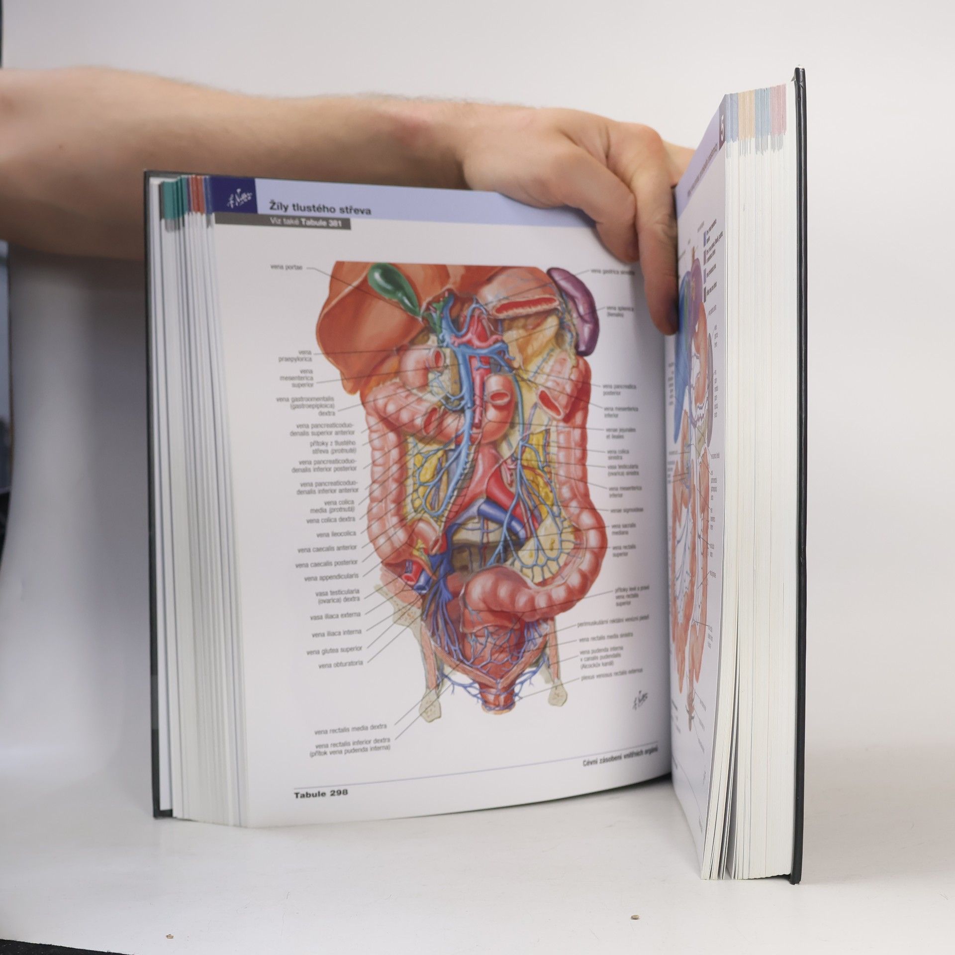 Frank H. Netter Netterův anatomický atlas člověka