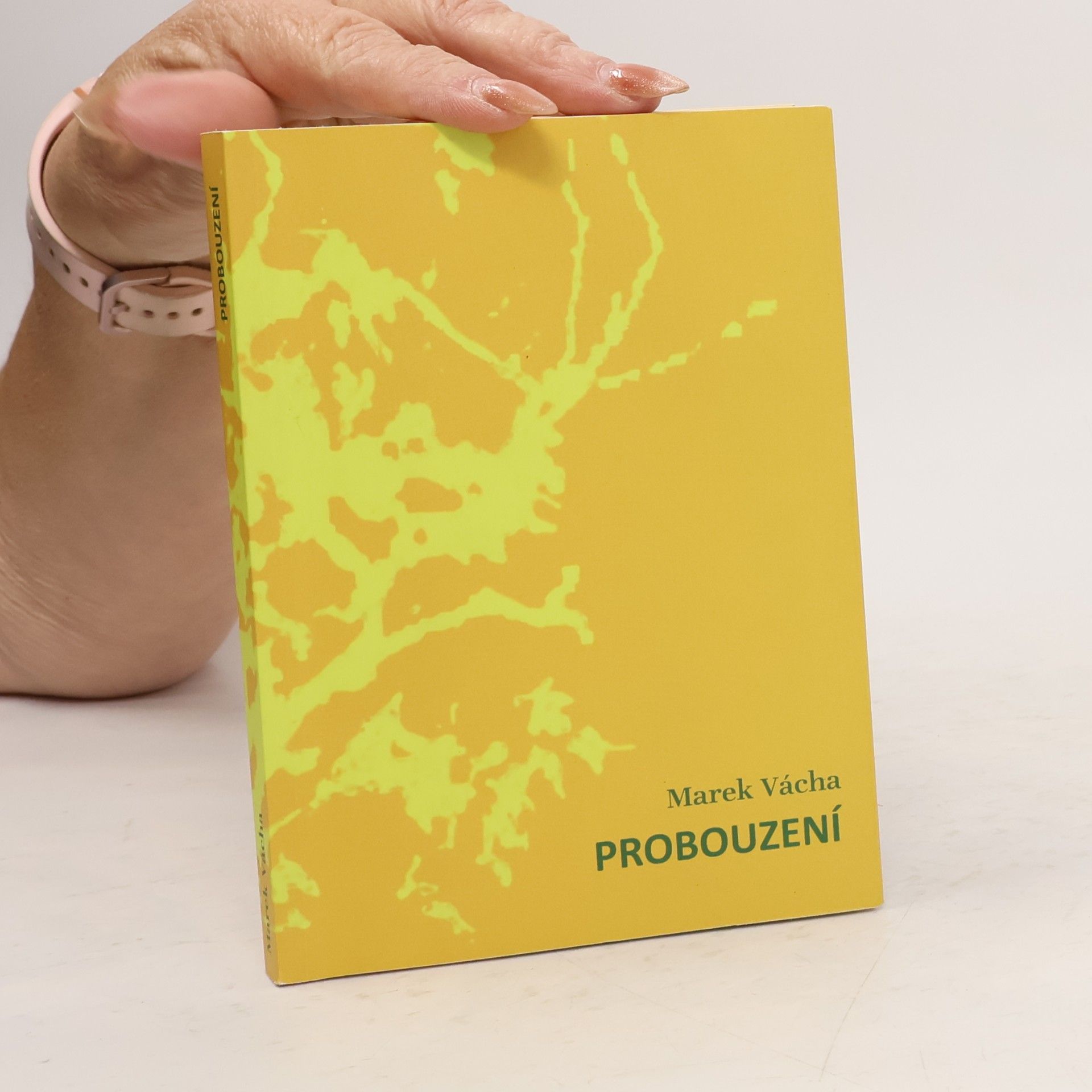 Probouzení